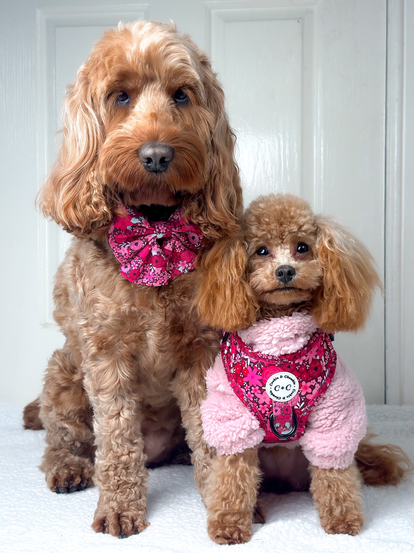 Adjustable Harness - 'On Chewsdays, We Wear Pink'