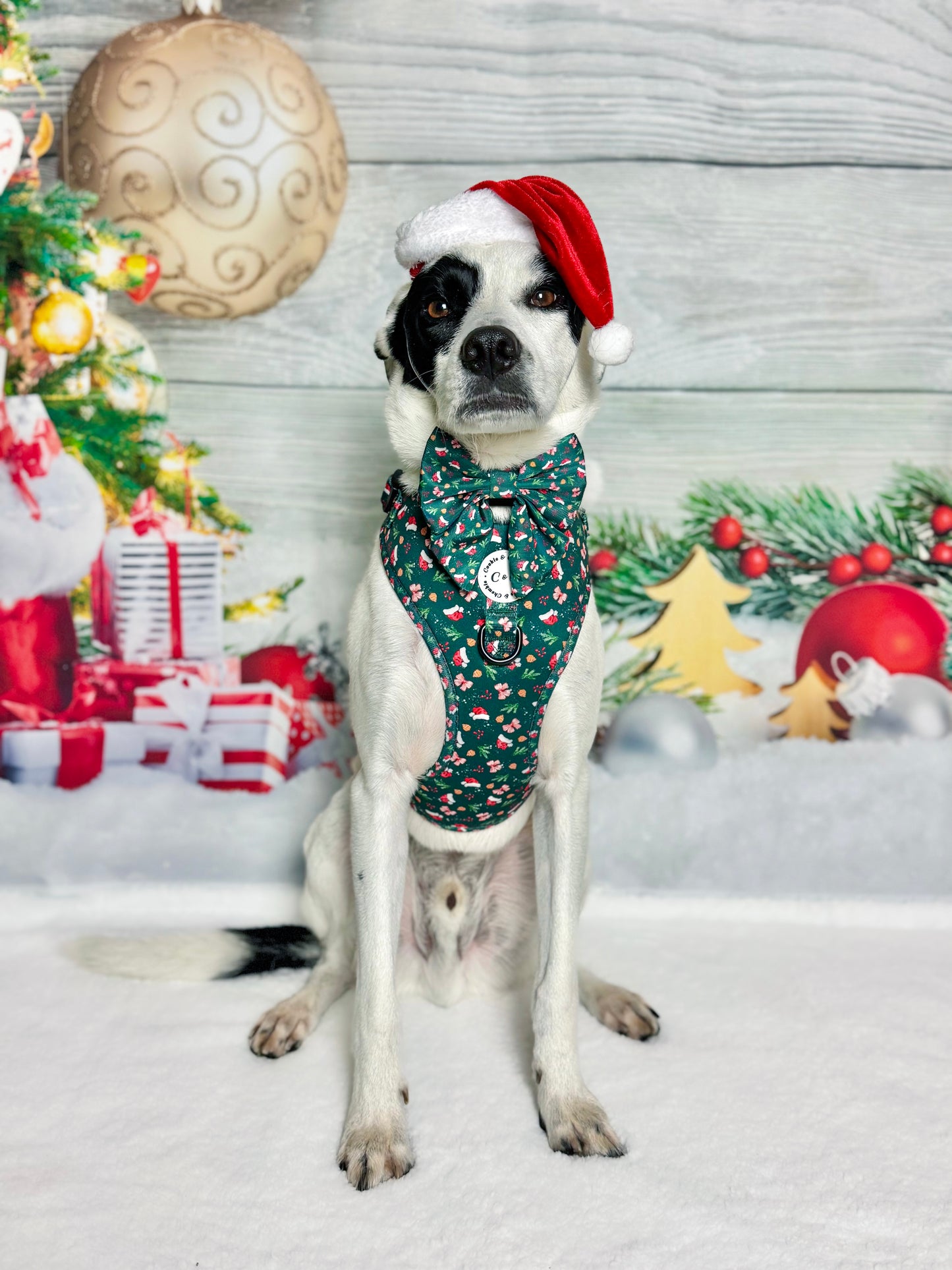 Sailor Bow - 'Dainty Little Christmas'