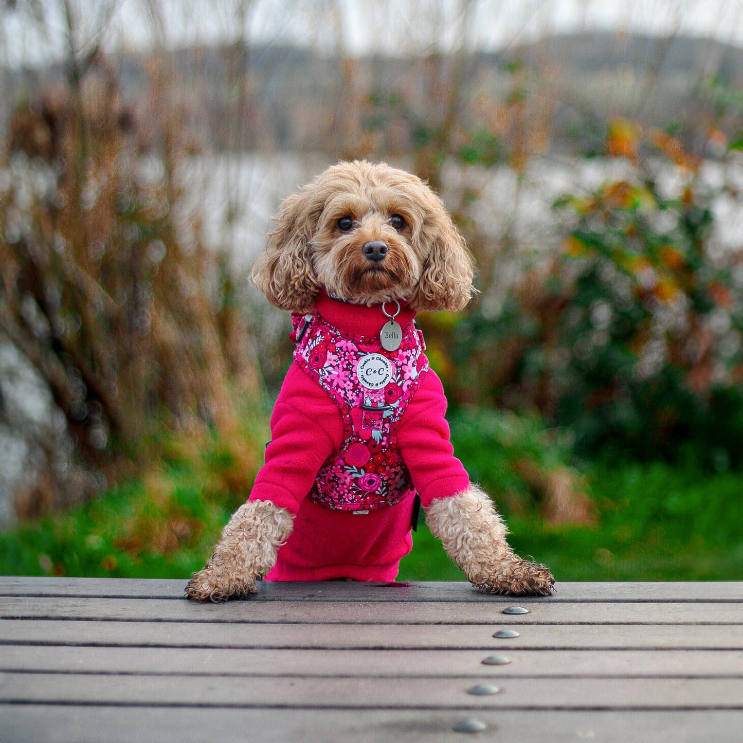 Adjustable Harness - 'On Chewsdays, We Wear Pink'