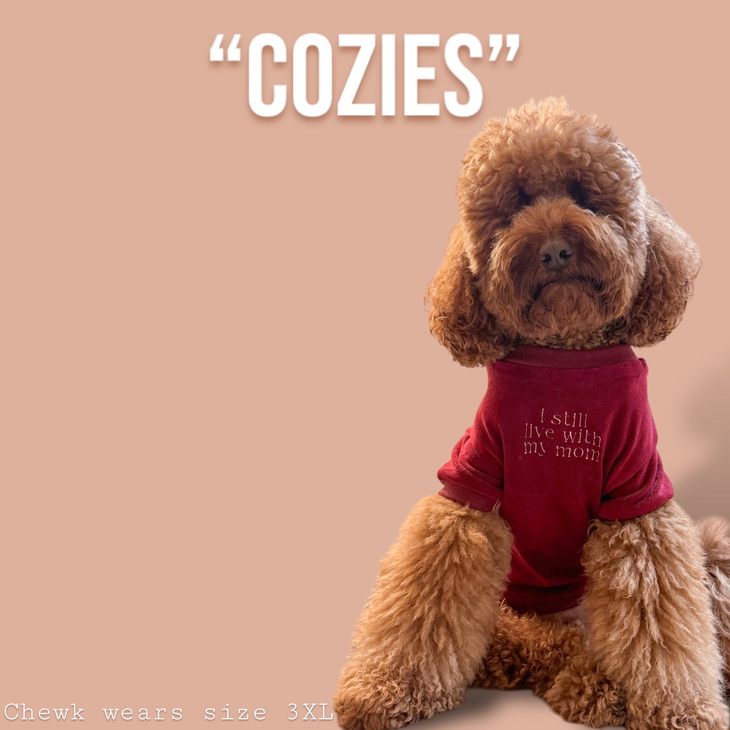 COZIES Fleece Sweatshirt - Burgundy