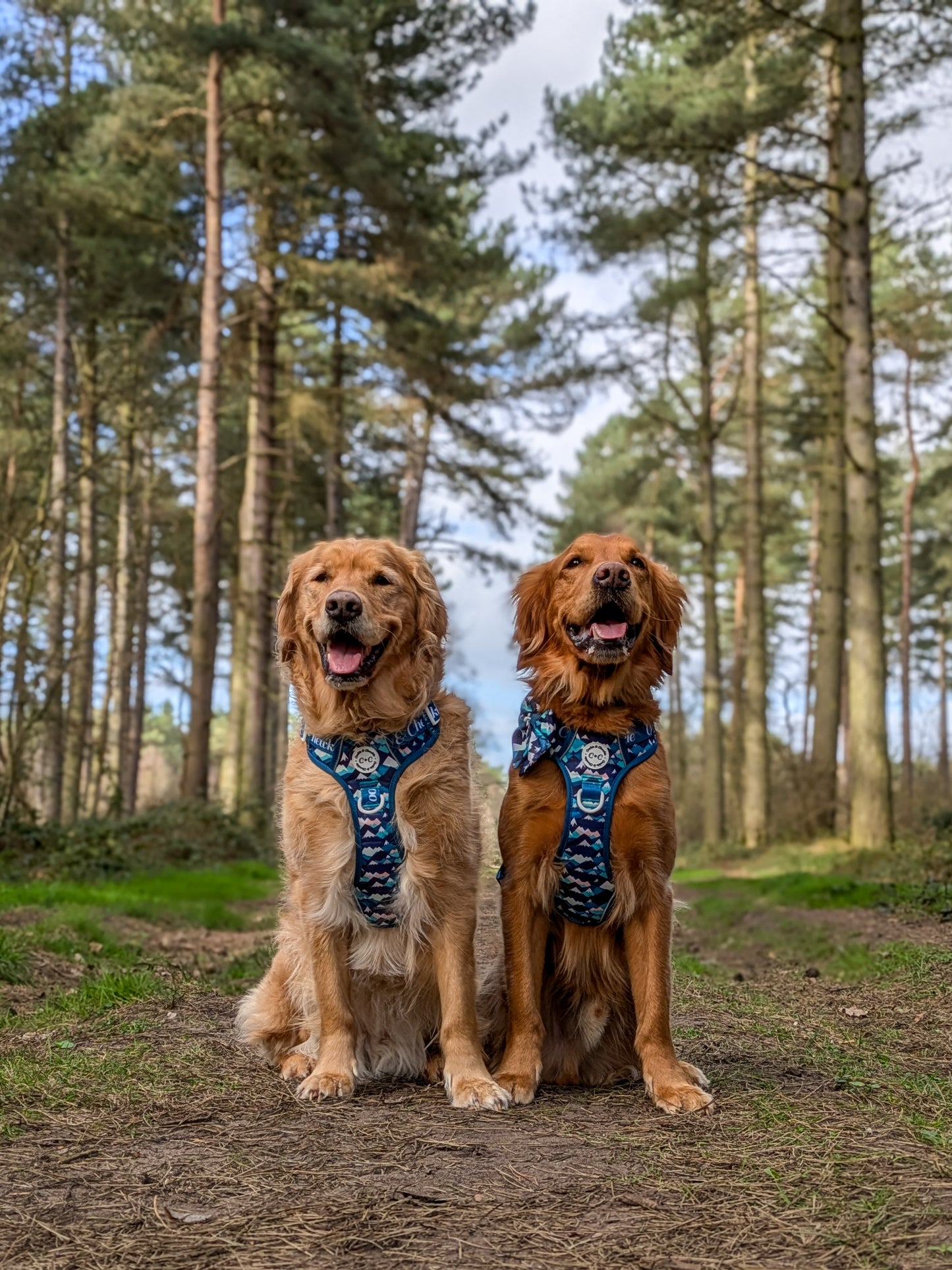Adjustable TUFF Harness - 'Hike n' Seek'