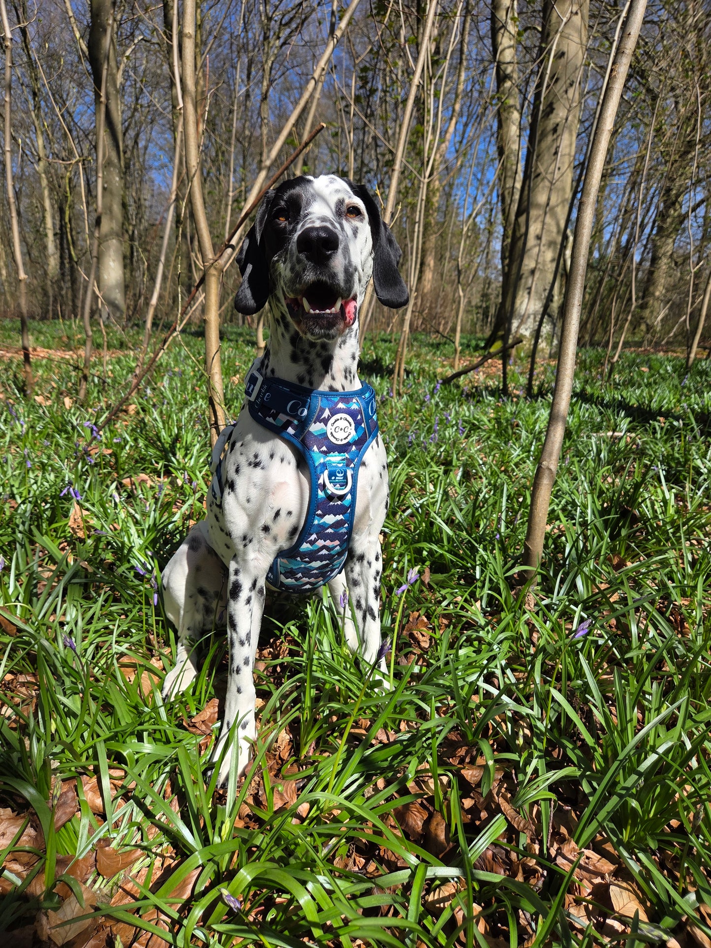 Adjustable TUFF Harness - 'Hike n' Seek'