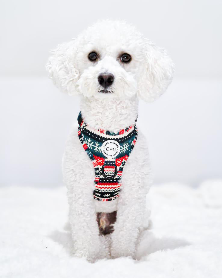 Adjustable Harness - 'Sweater Weather'