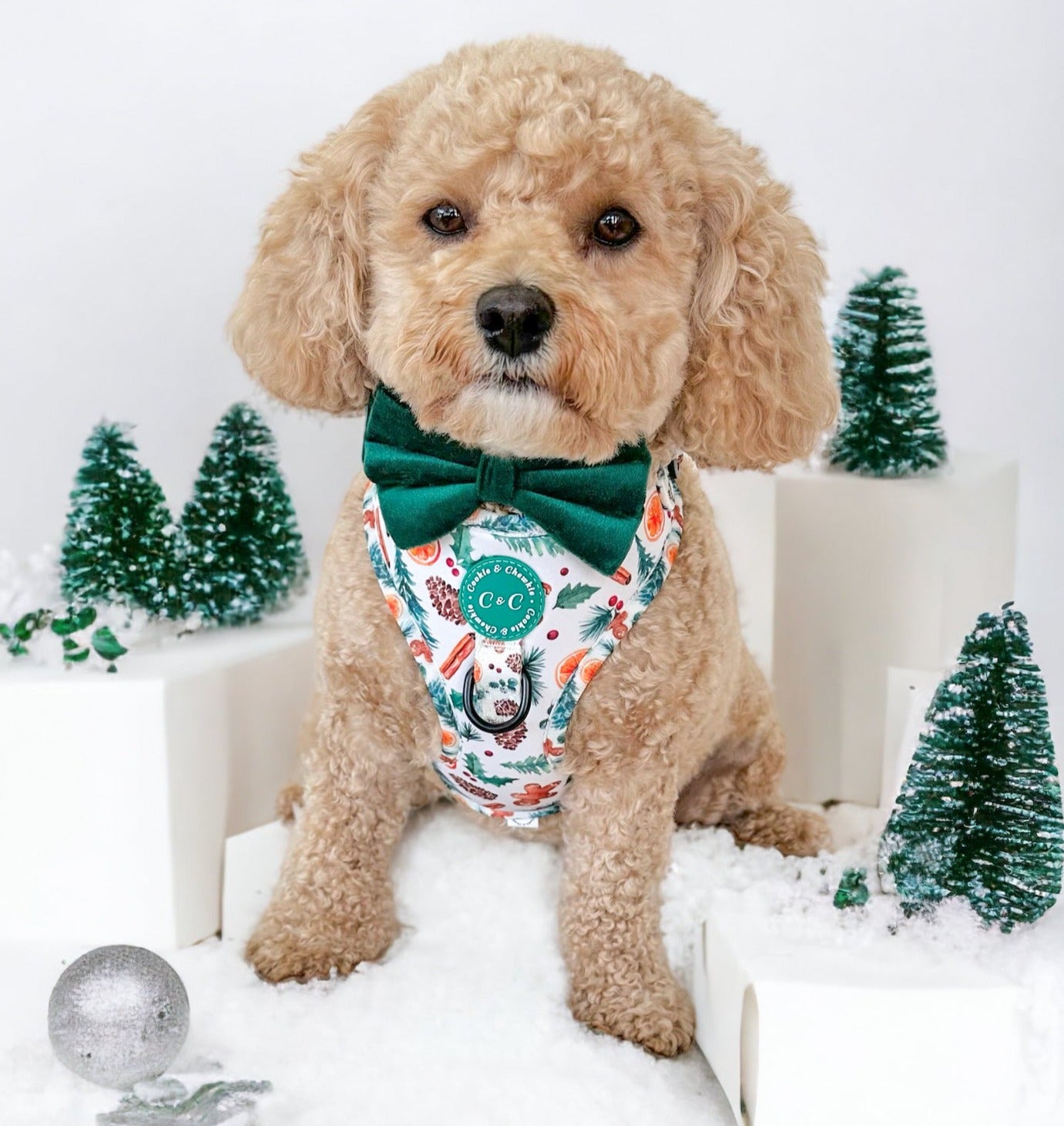Adjustable Harness - 'Festive Pawpourri'