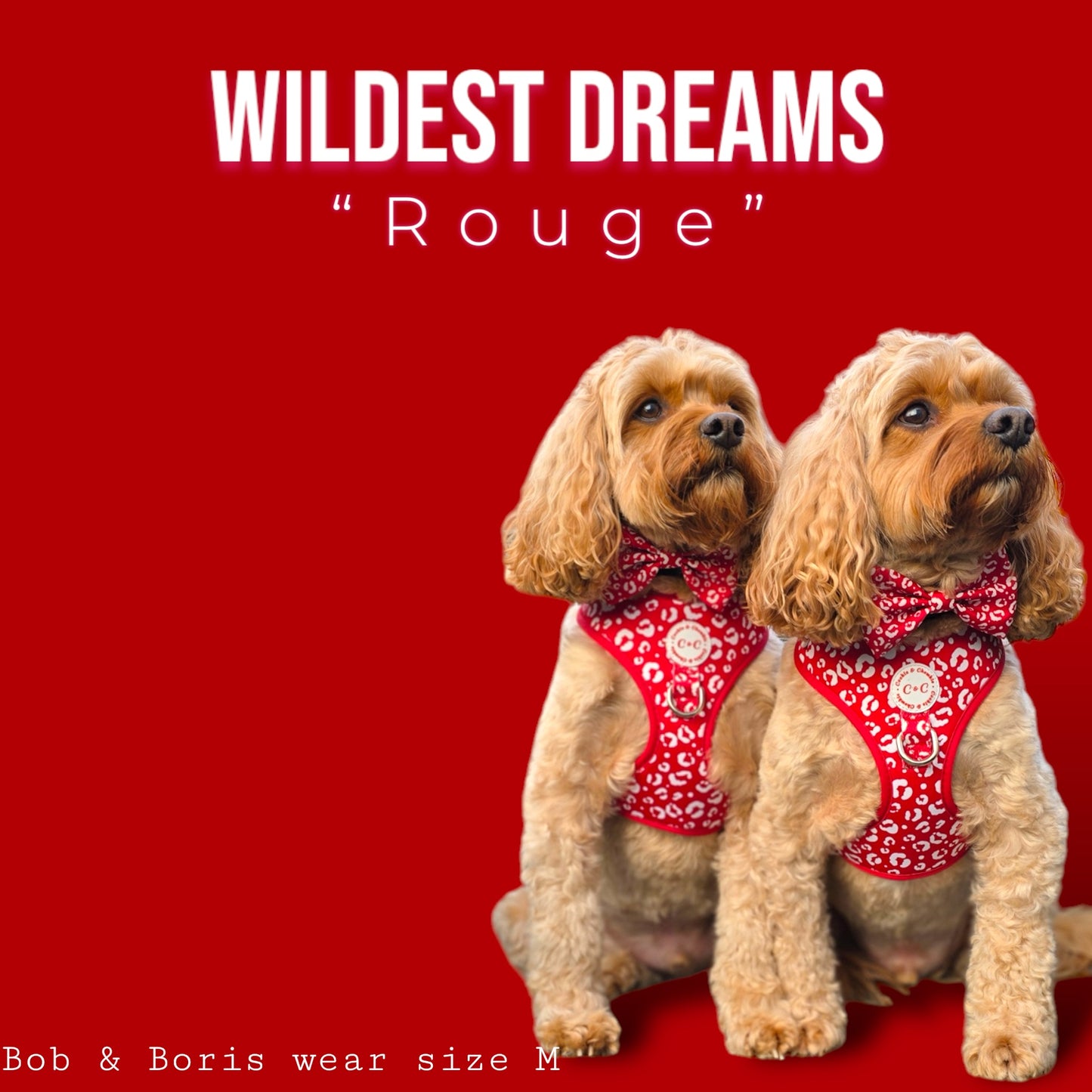 Adjustable Harness - 'Wildest Dreams - Rouge'