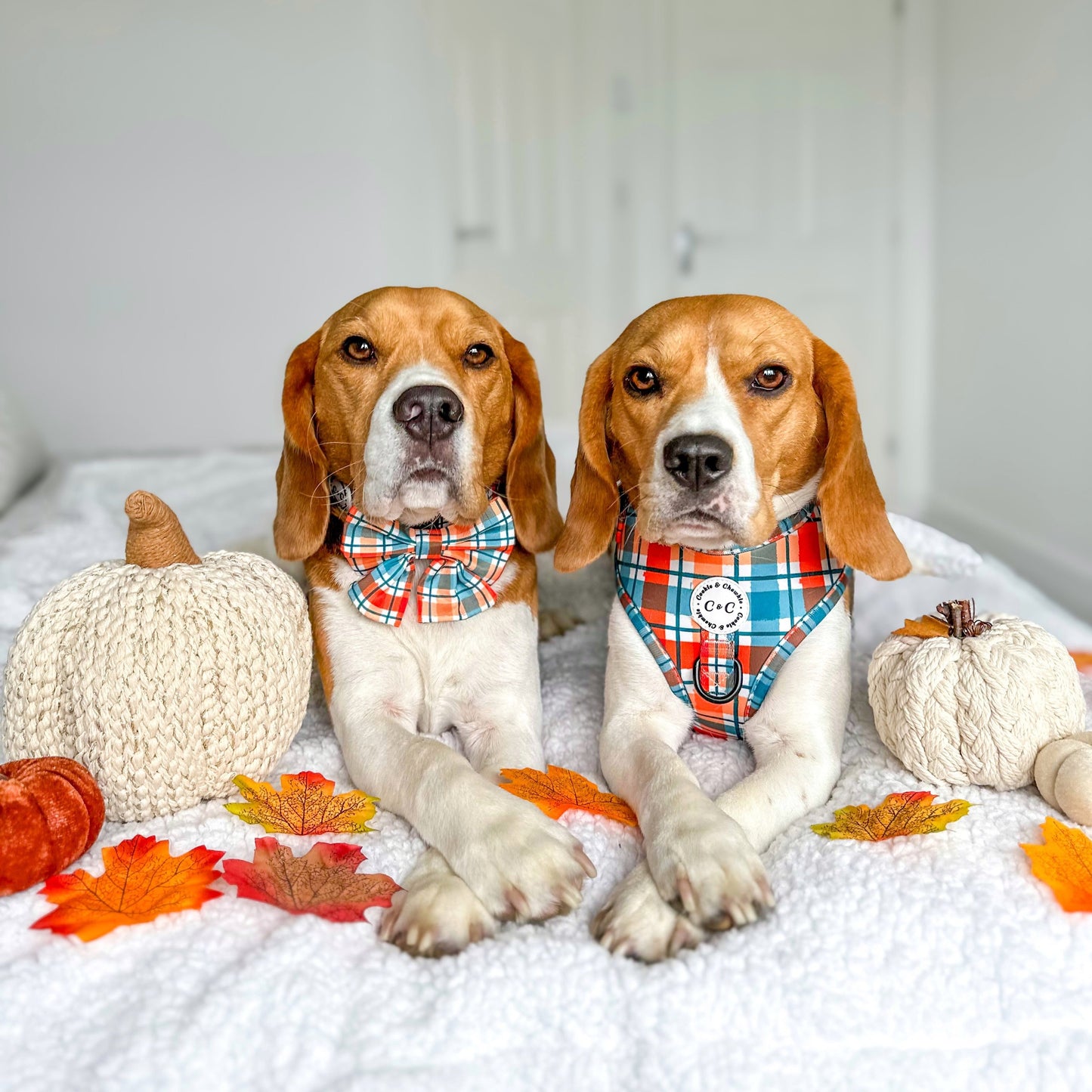 Adjustable Harness - 'Plaid Romance'