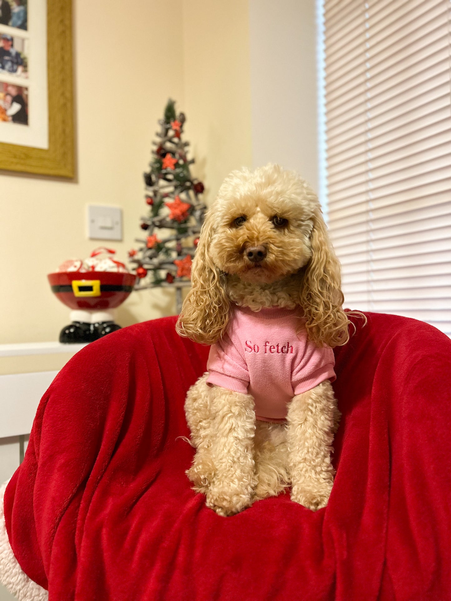 COZIES Fleece Sweatshirt - Pink