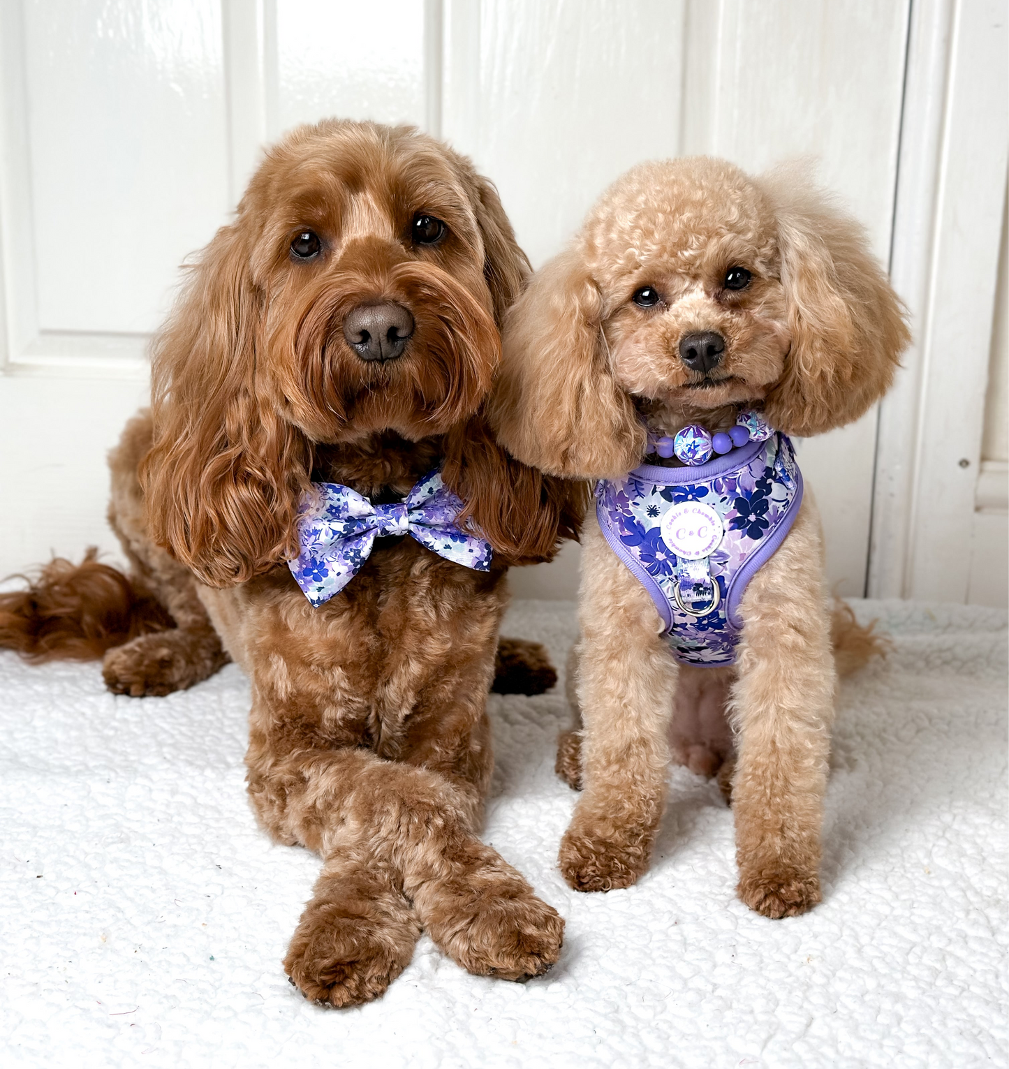 Bow Tie - 'Reine des Fleurs'