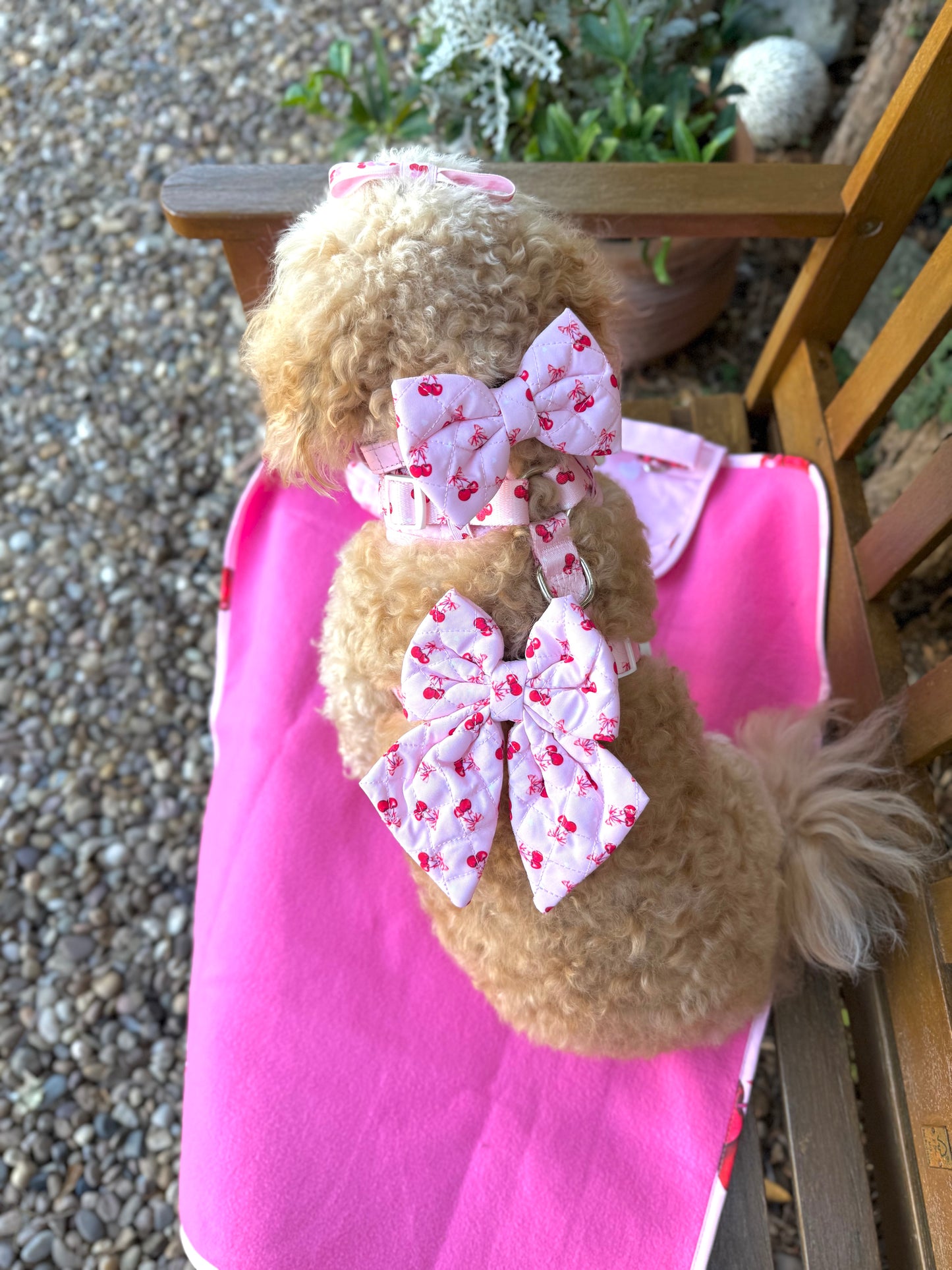 Bow Tie - 'Chérie Amour'