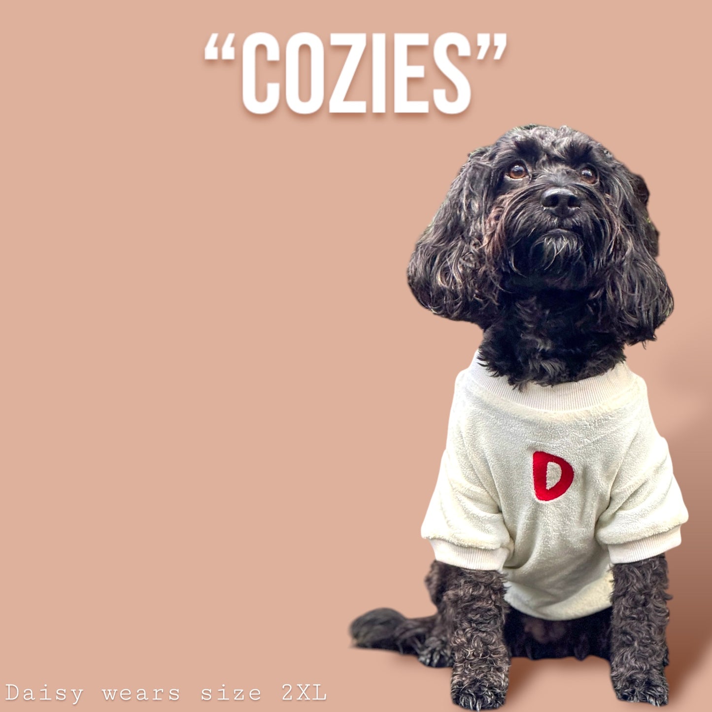 COZIES Fleece Sweatshirt - Cream