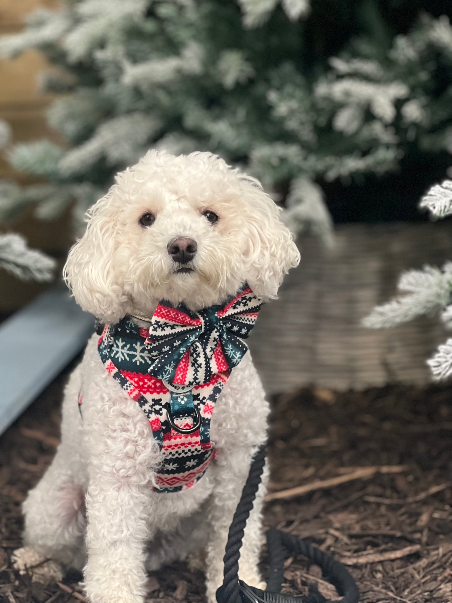 Adjustable Harness - 'Sweater Weather'