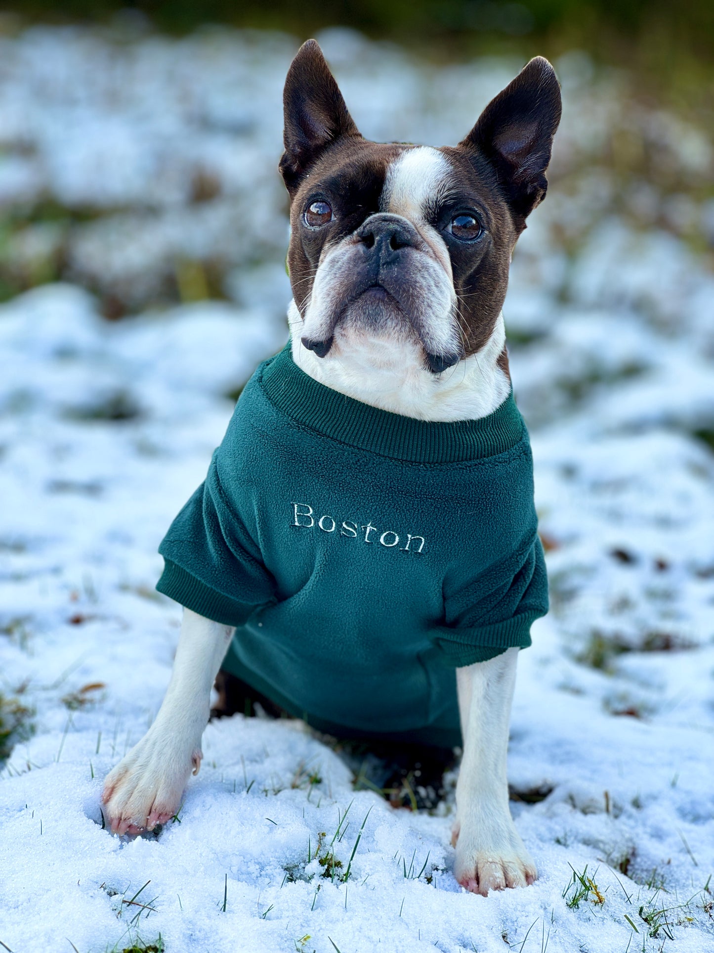 COZIES Fleece Sweatshirt - Dark Green