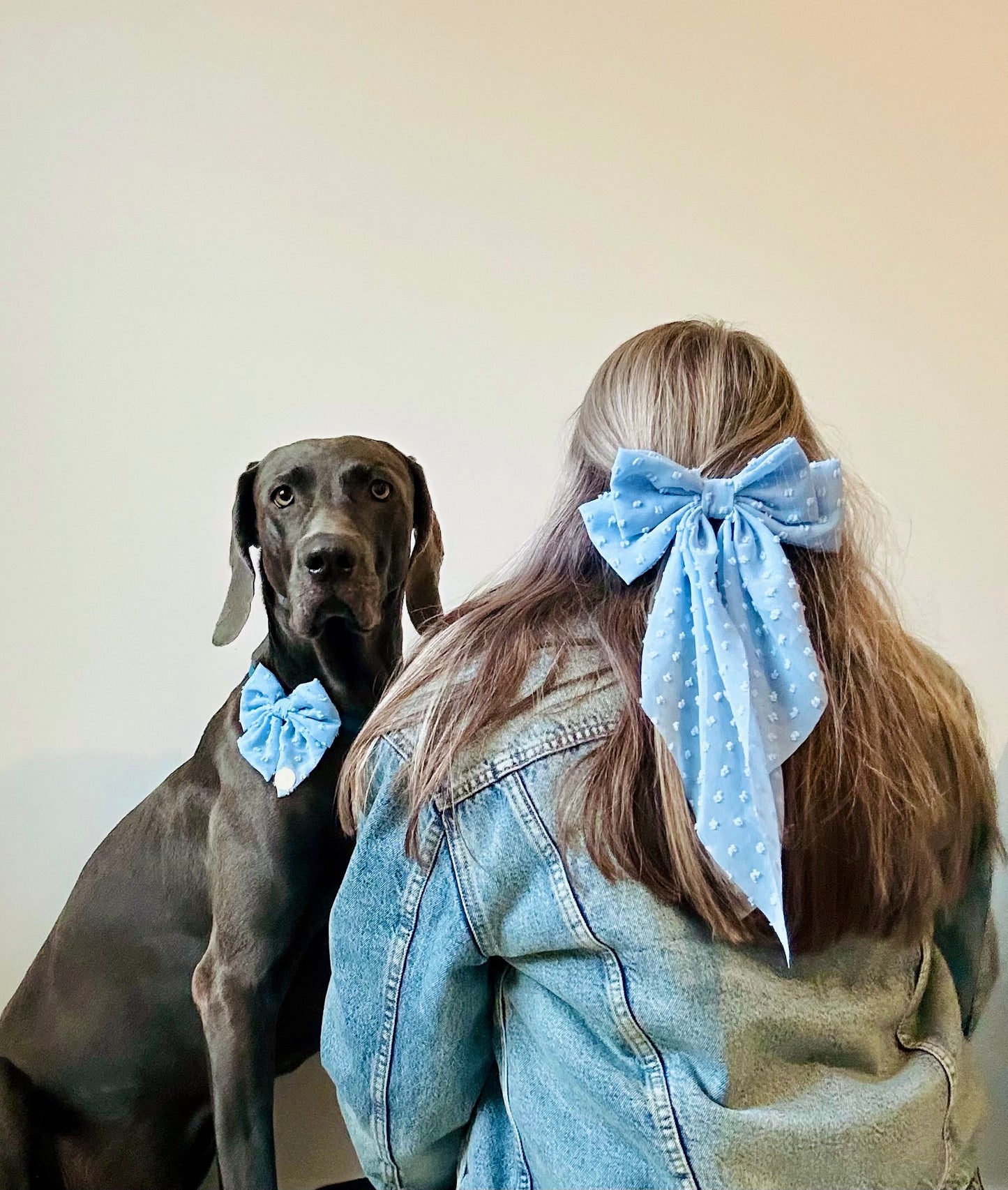 DAINTIES Human Hair Bow - 'Sky'