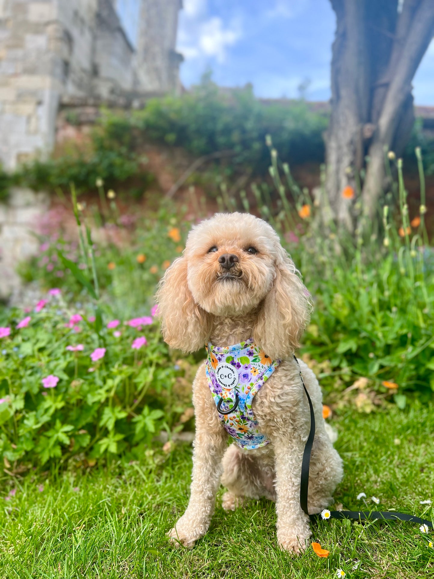 Adjustable harness - 'Once Upon A Flower'