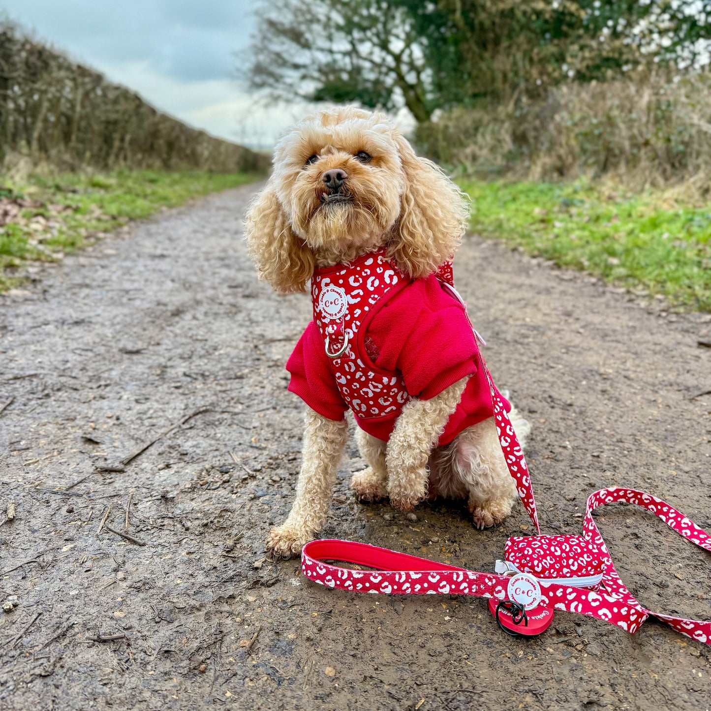 Adjustable Harness - 'Wildest Dreams - Rouge'