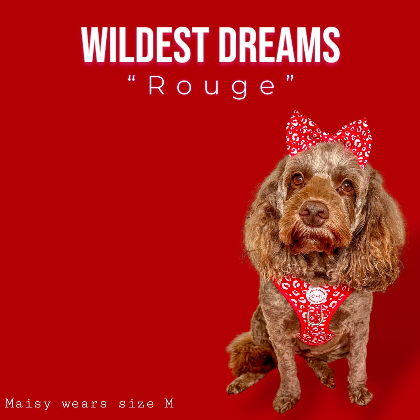 Adjustable Harness - 'Wildest Dreams - Rouge'