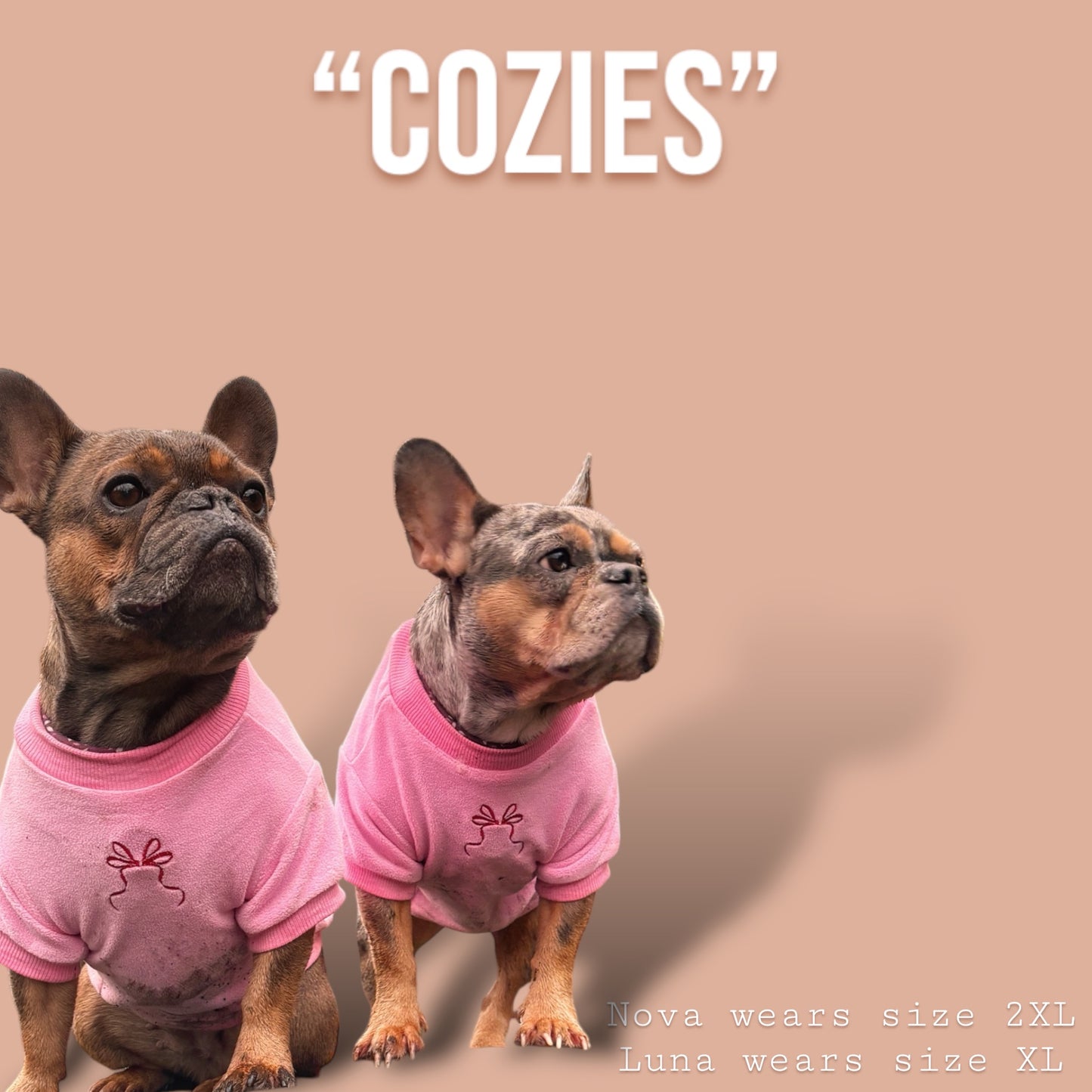 COZIES Fleece Sweatshirt - Pink