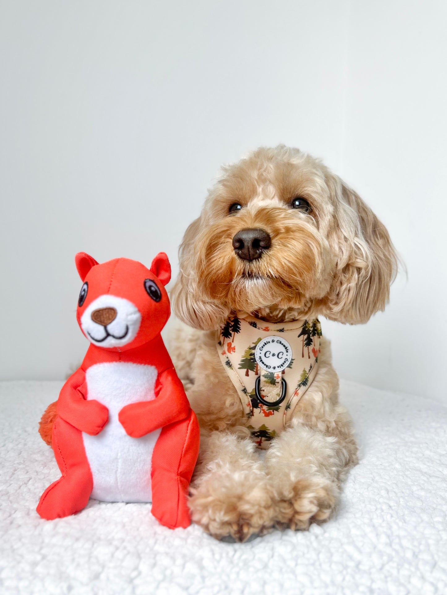Adjustable Harness - 'Squirrel Pawtrol'