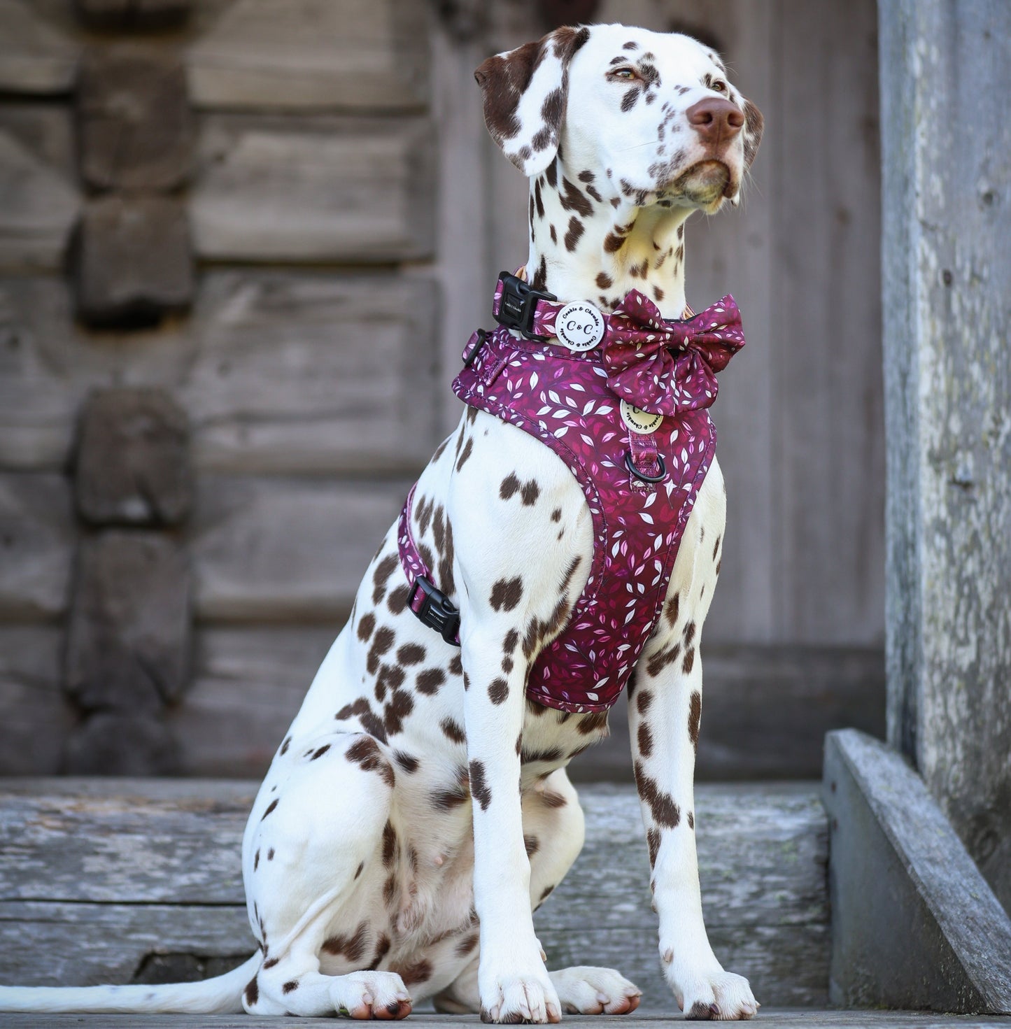 Adjustable Harness - 'Don't Stop Be-Leafing - Merlot'