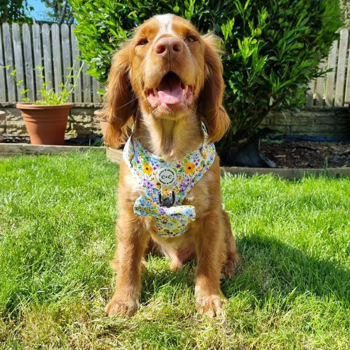 Adjustable harness - 'Once Upon A Flower'