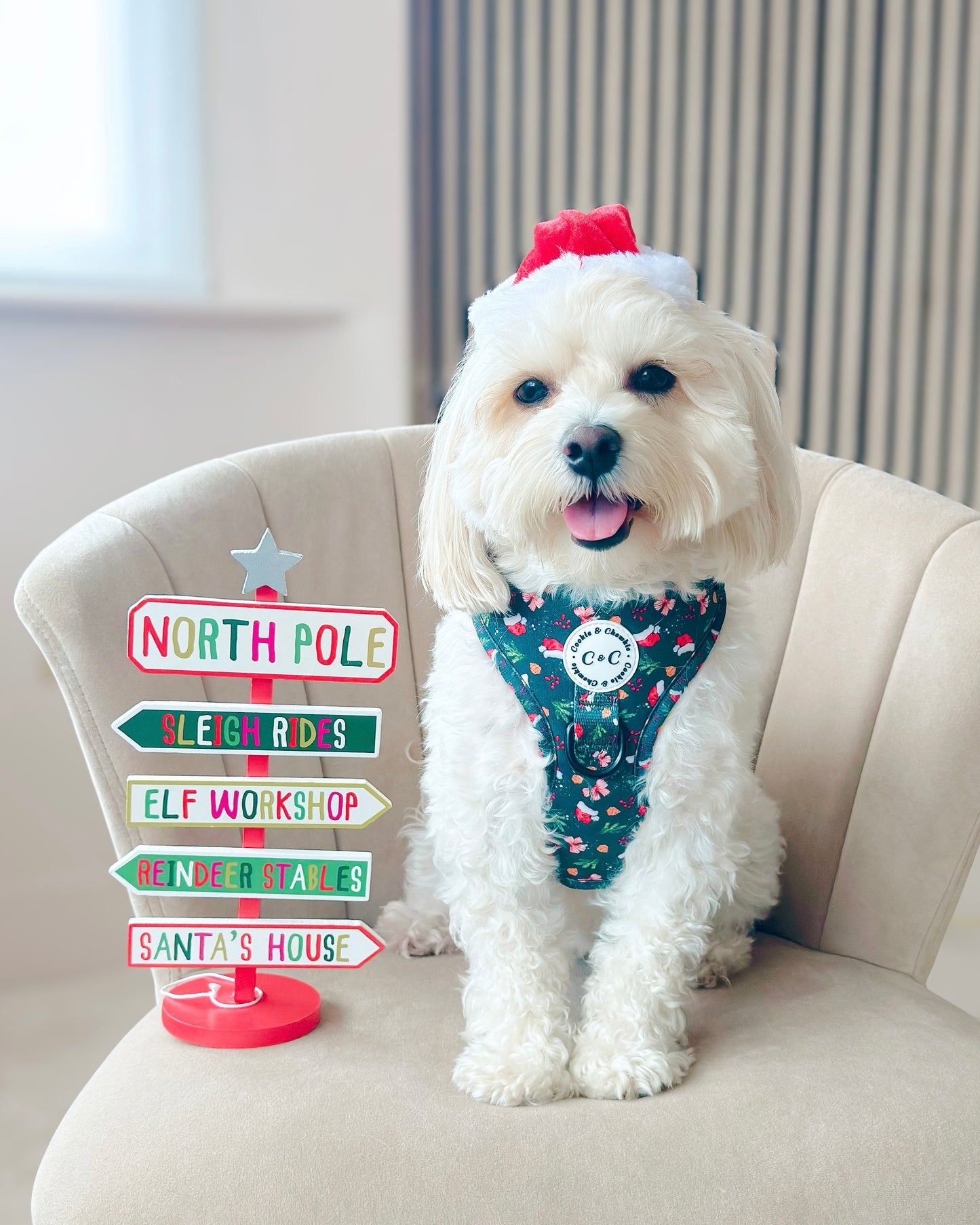 Adjustable Harness - 'Dainty Little Christmas'