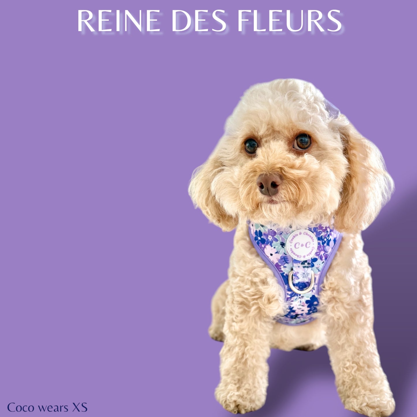 Adjustable Harness - 'Reine des Fleurs'