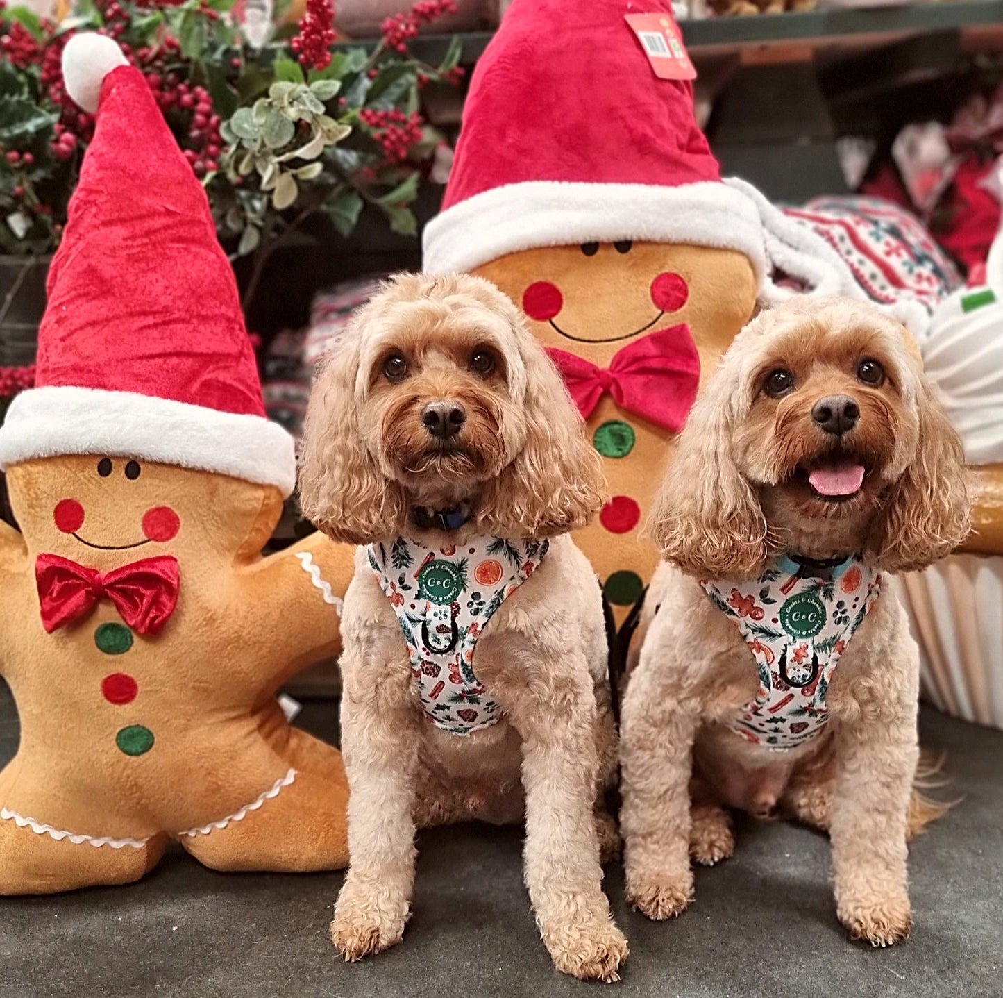 Adjustable Harness - 'Festive Pawpourri'