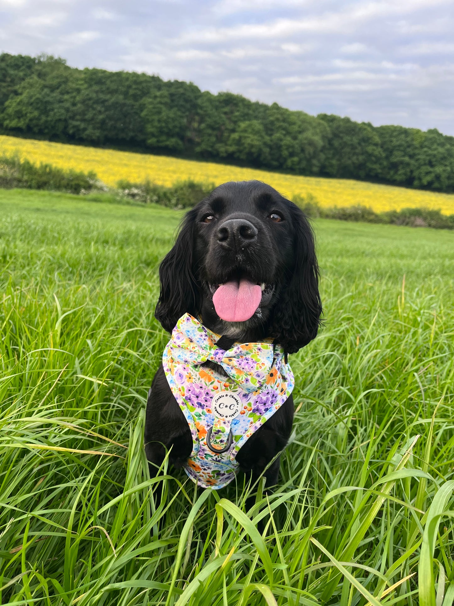 Adjustable harness - 'Once Upon A Flower'