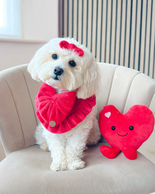 FLUFFIES Hair/Fur Bow - 'Scarlett'