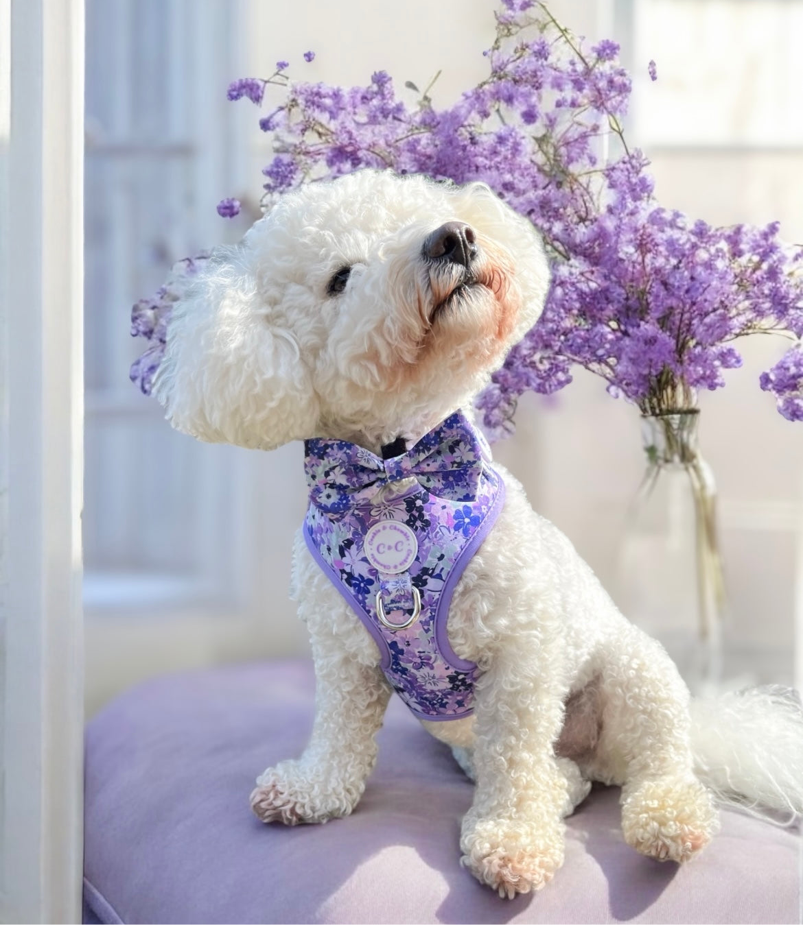 Bow Tie - 'Reine des Fleurs'