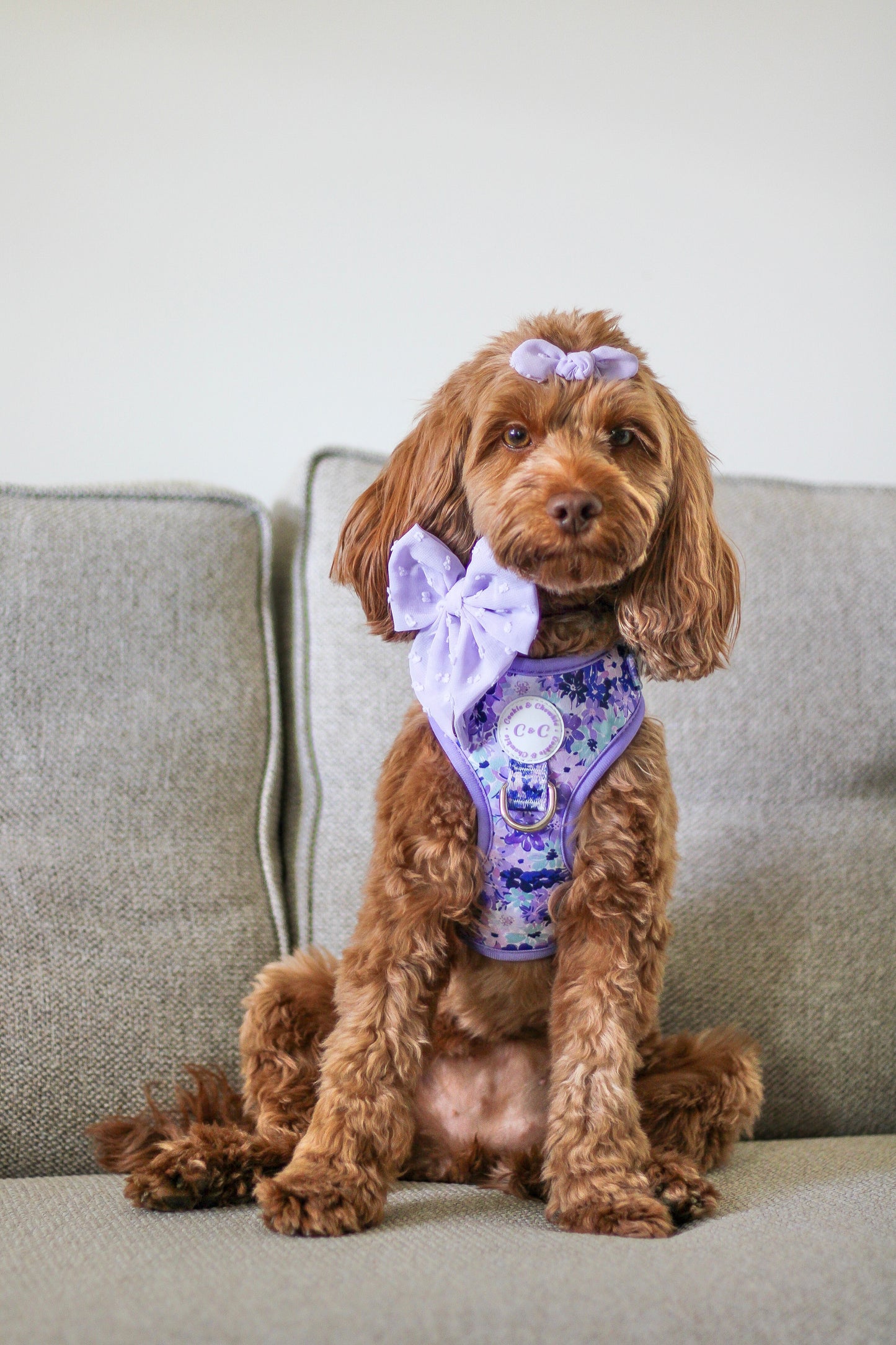 DAINTIES Sailor Bow - 'Lilac'