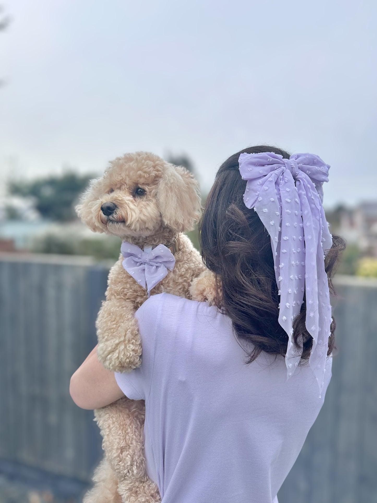 DAINTIES Human Hair Bow - 'Lilac'