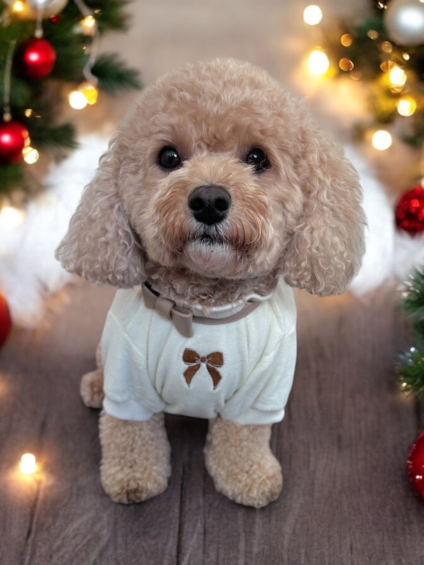COZIES Fleece Sweatshirt - Cream
