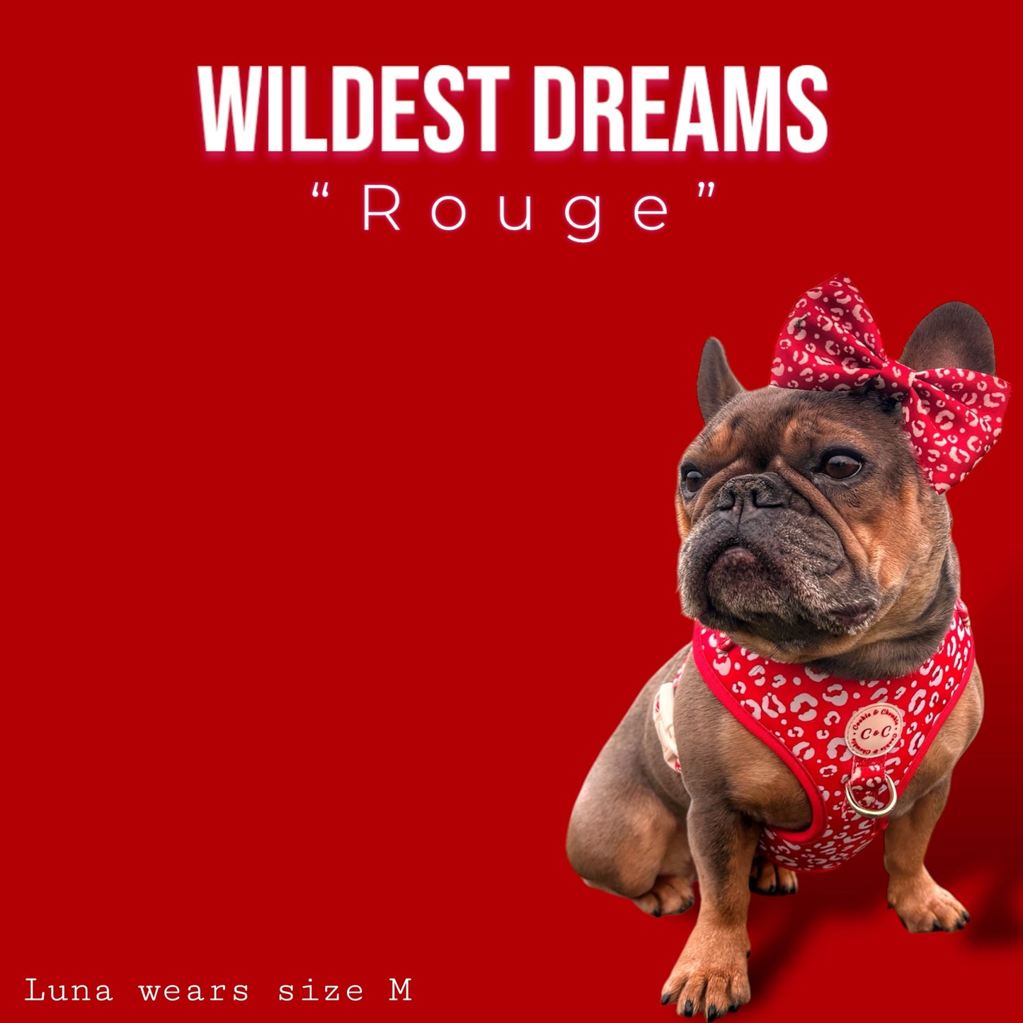 Adjustable Harness - 'Wildest Dreams - Rouge'