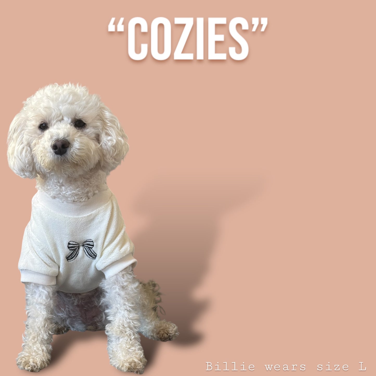 COZIES Fleece Sweatshirt - Cream
