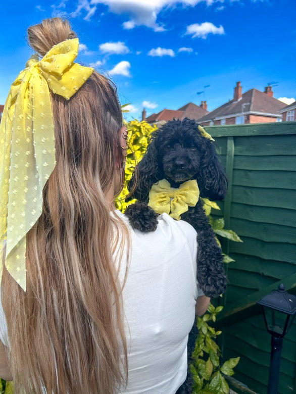 DAINTIES Human Hair Bow - 'Sunny'