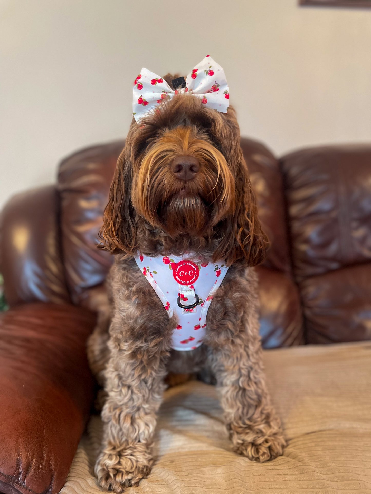 Bow Tie - 'Apple Pawtumn Jeans'