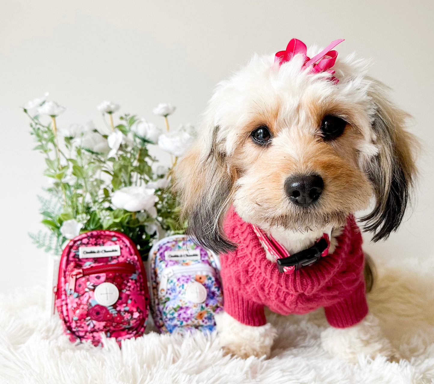 Treat Pouch - On Chewsdays, We Wear Pink