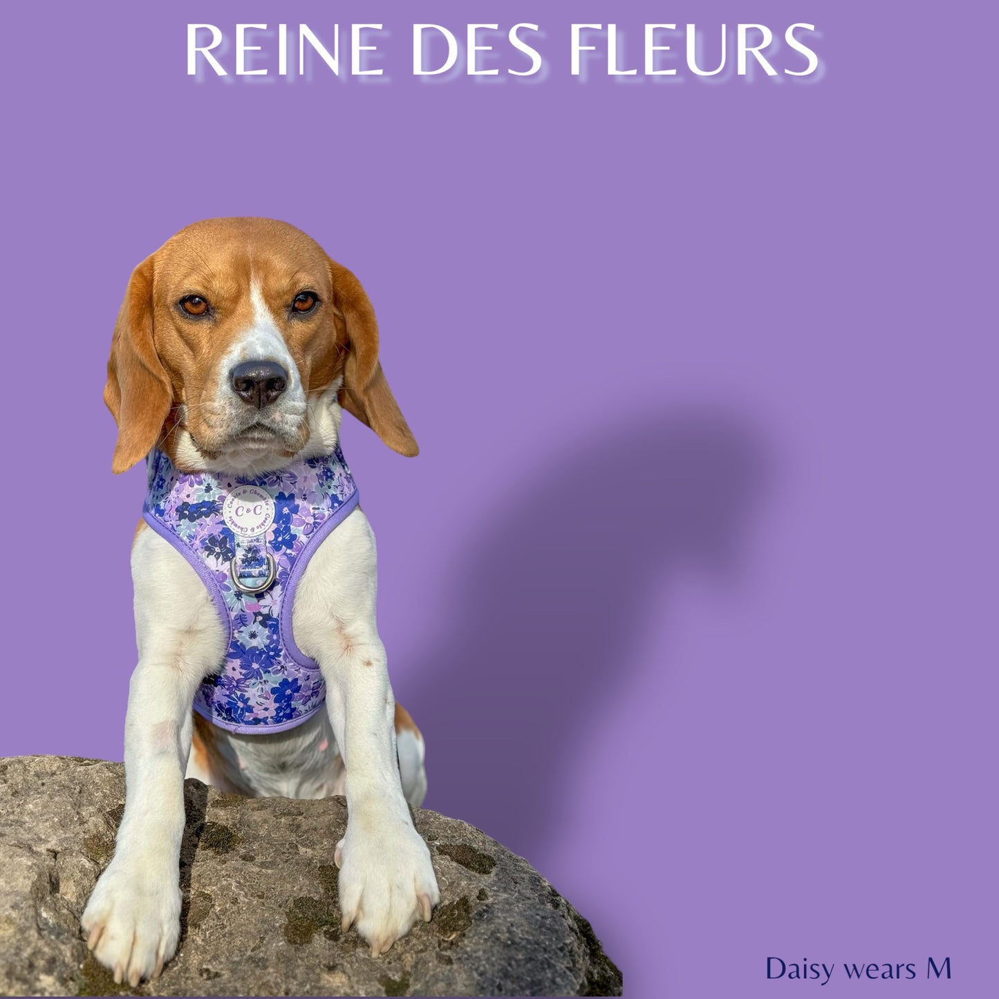 Adjustable Harness - 'Reine des Fleurs'