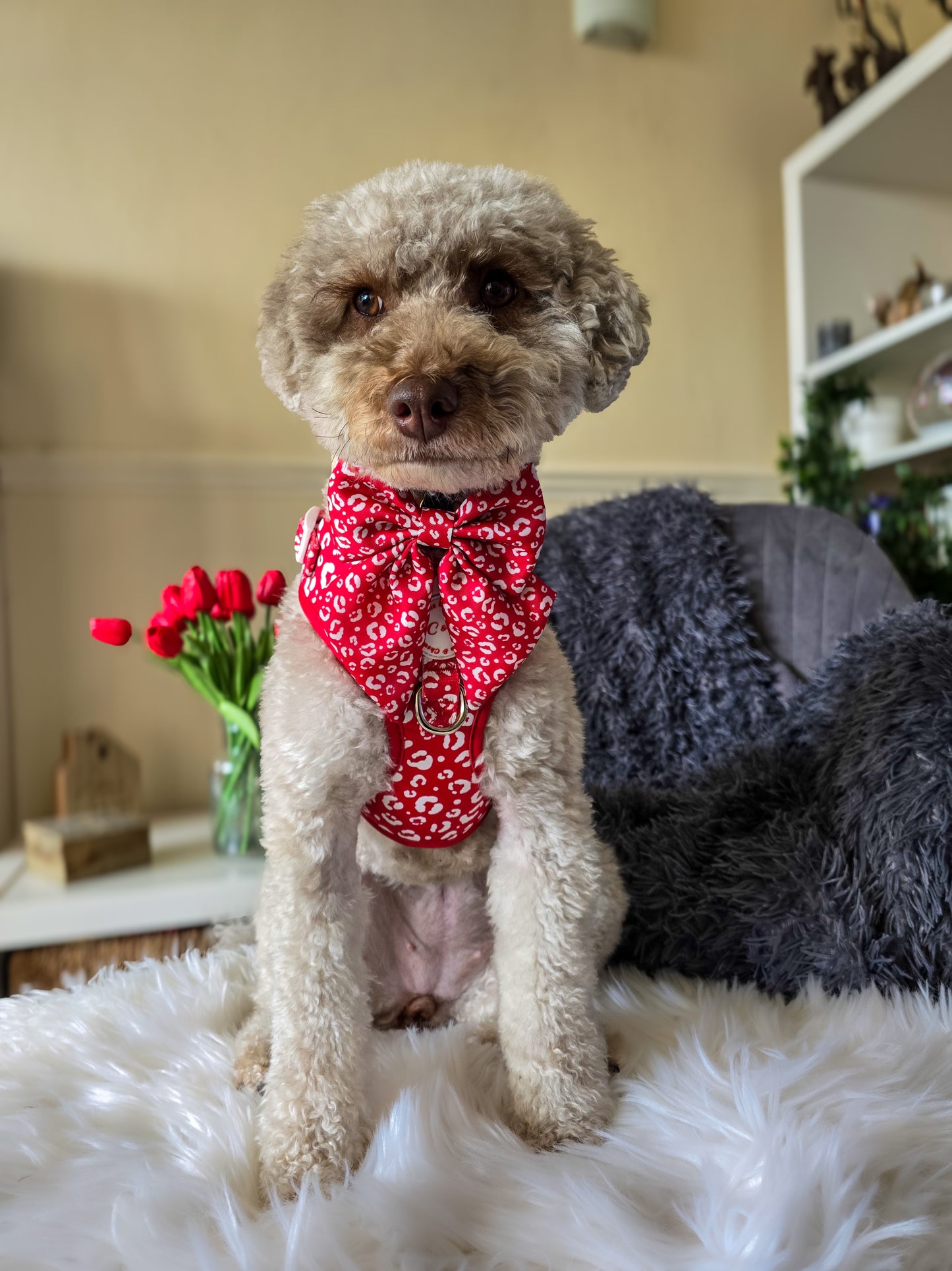 Adjustable Harness - 'Wildest Dreams - Rouge'