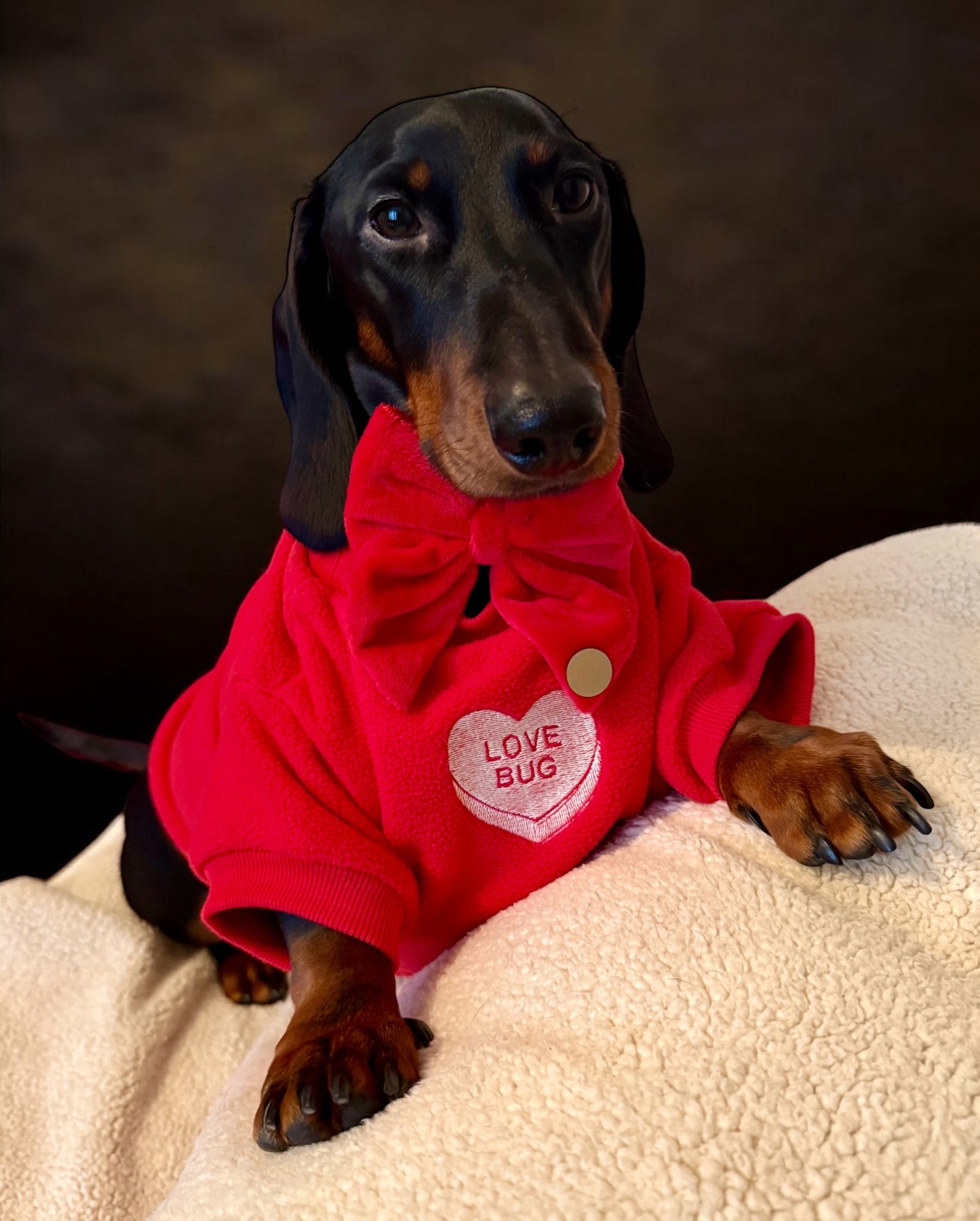 COZIES Fleece Sweatshirt - Red
