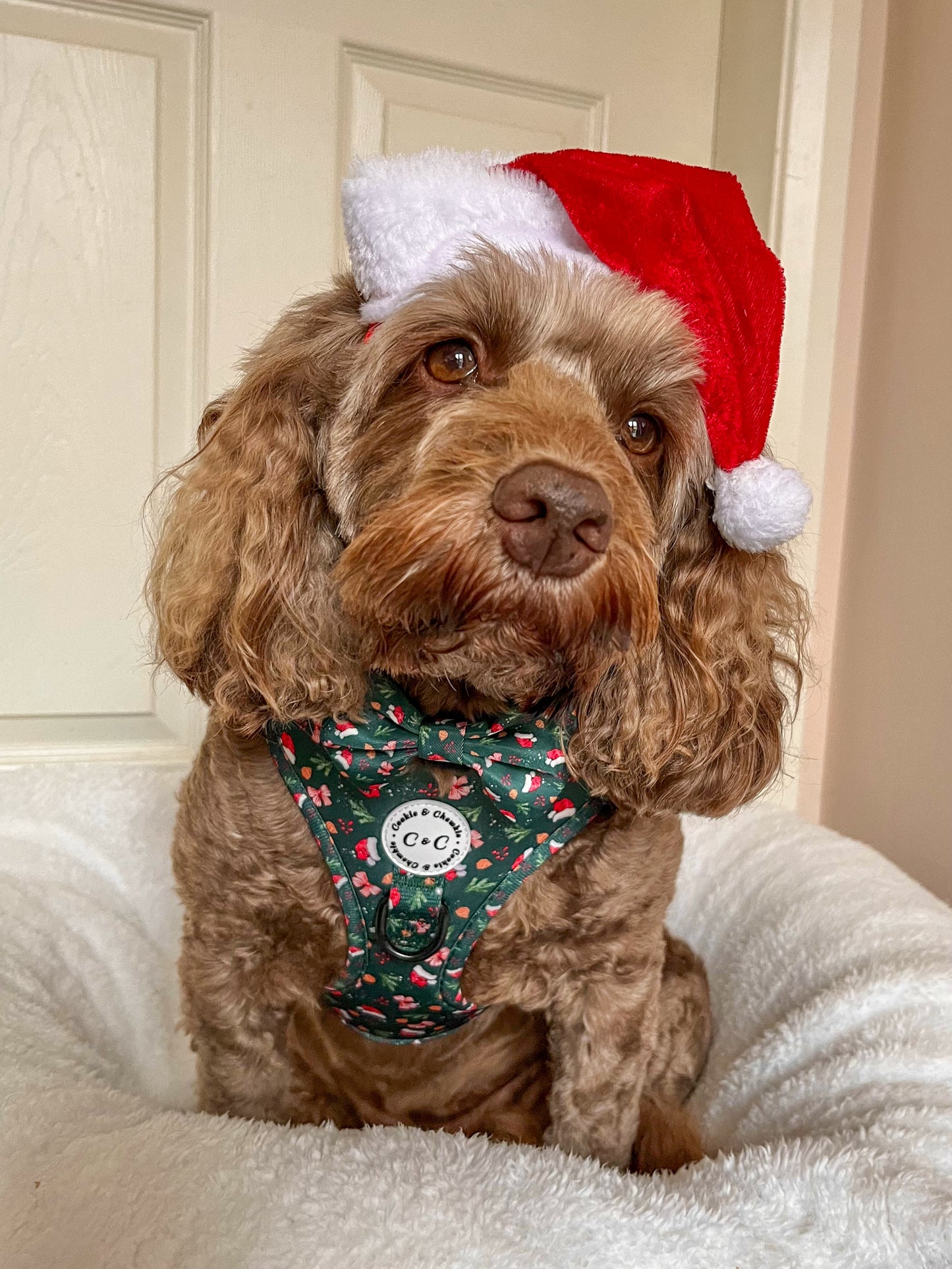 Bow Tie - 'Dainty Little Christmas'