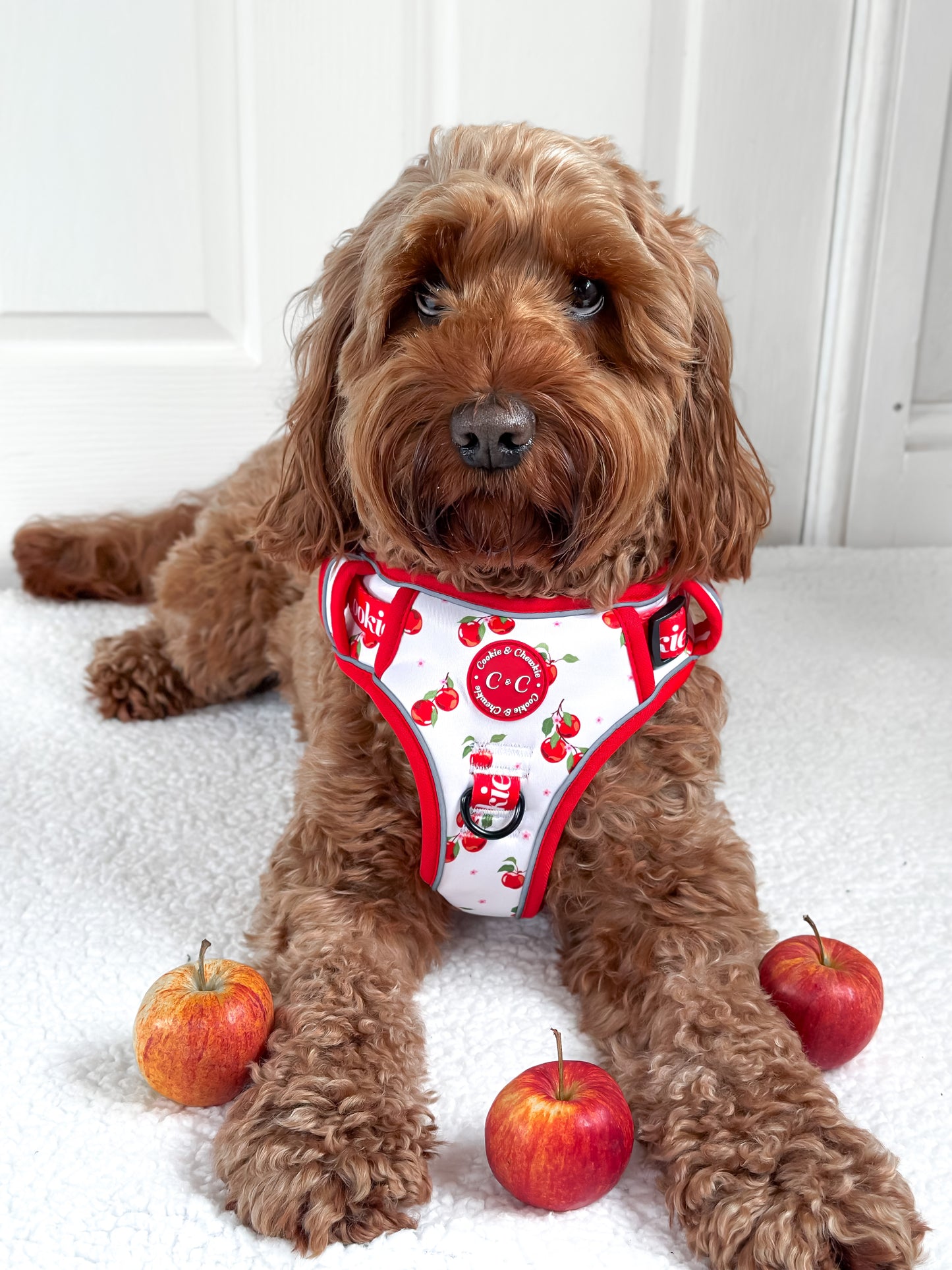 Adjustable TUFF Harness - 'Apple Pawtumn Jeans'