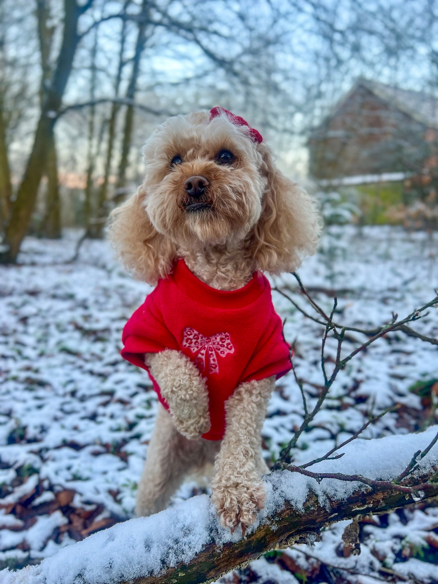 COZIES Fleece Sweatshirt - Red