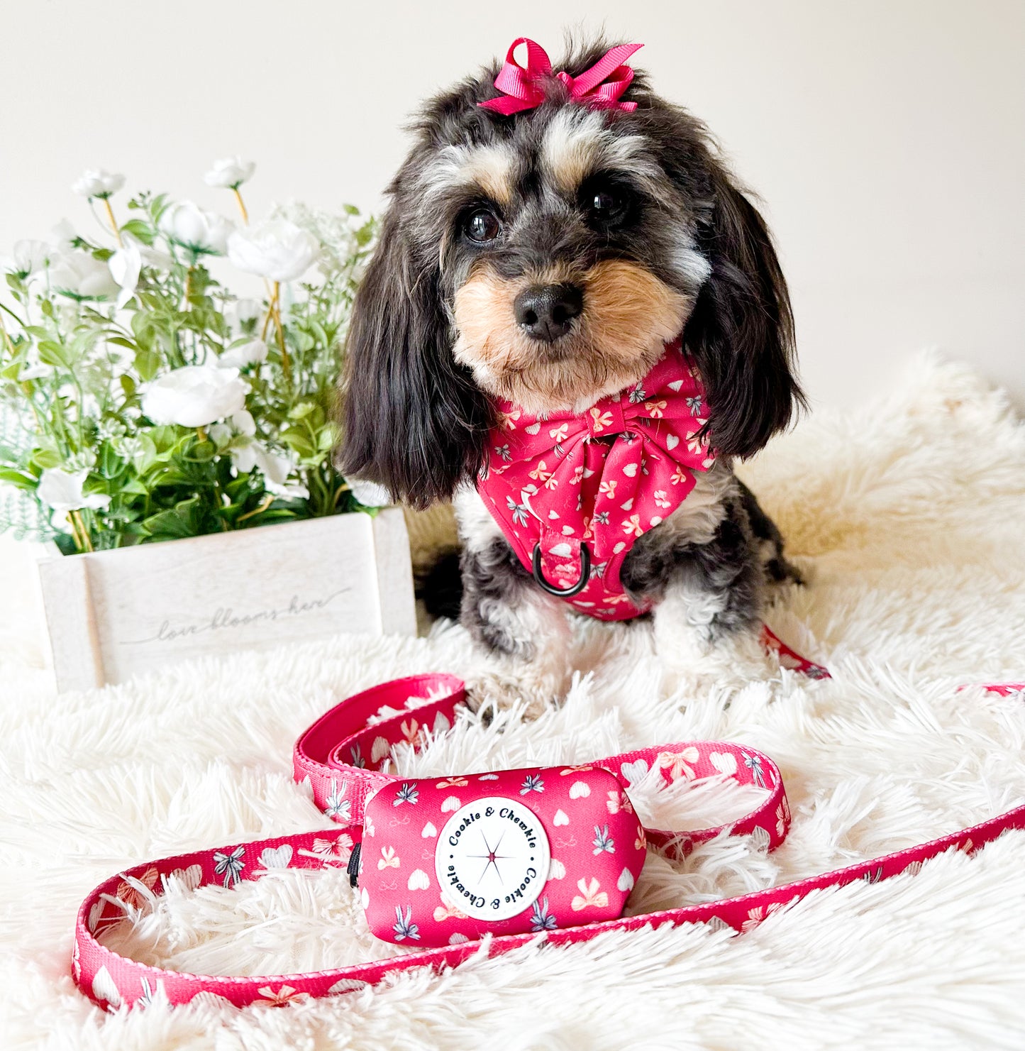 Collar - 'My Dainty Love'