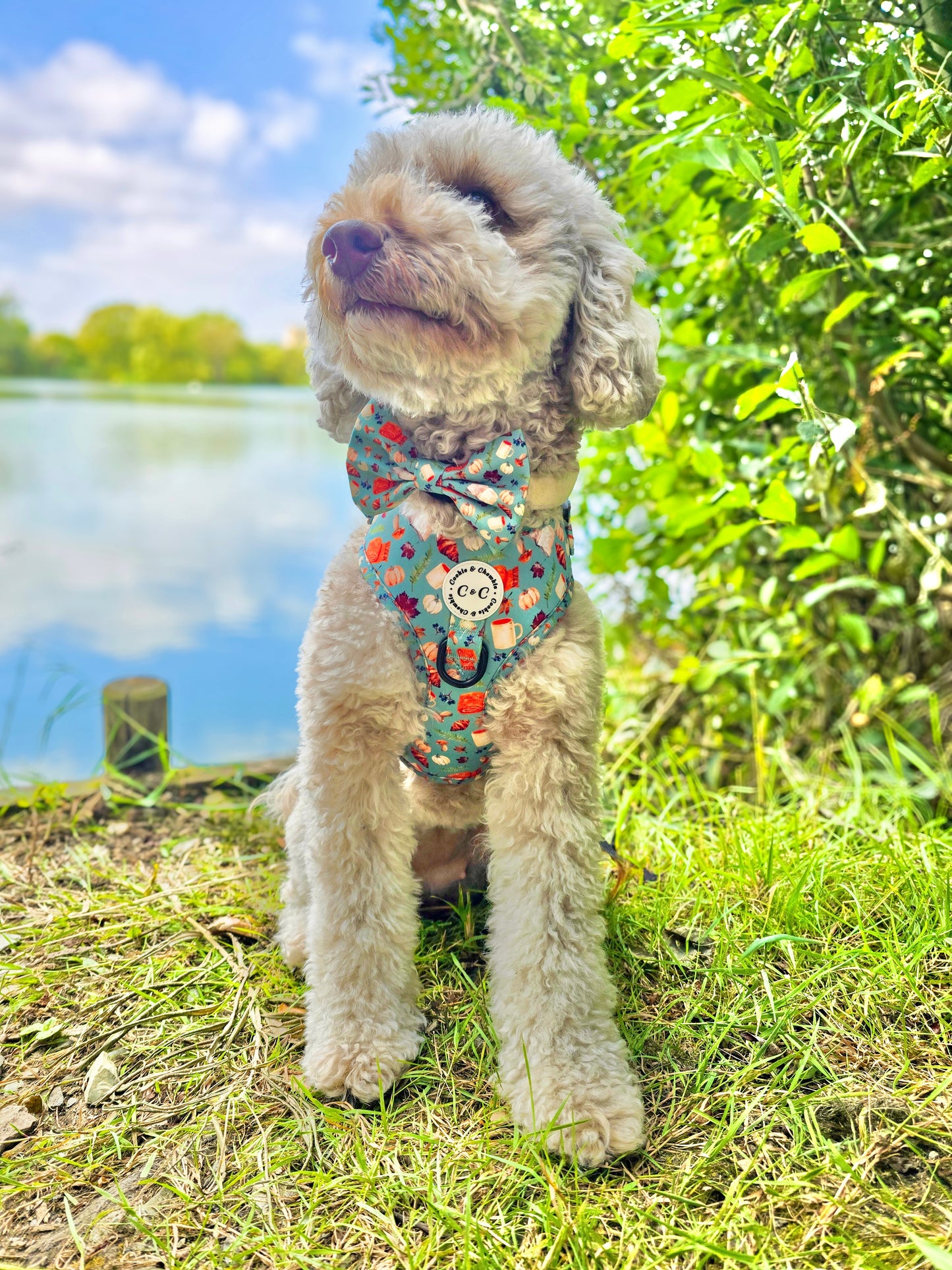 Adjustable Harness - 'Once Upon An Autumn'