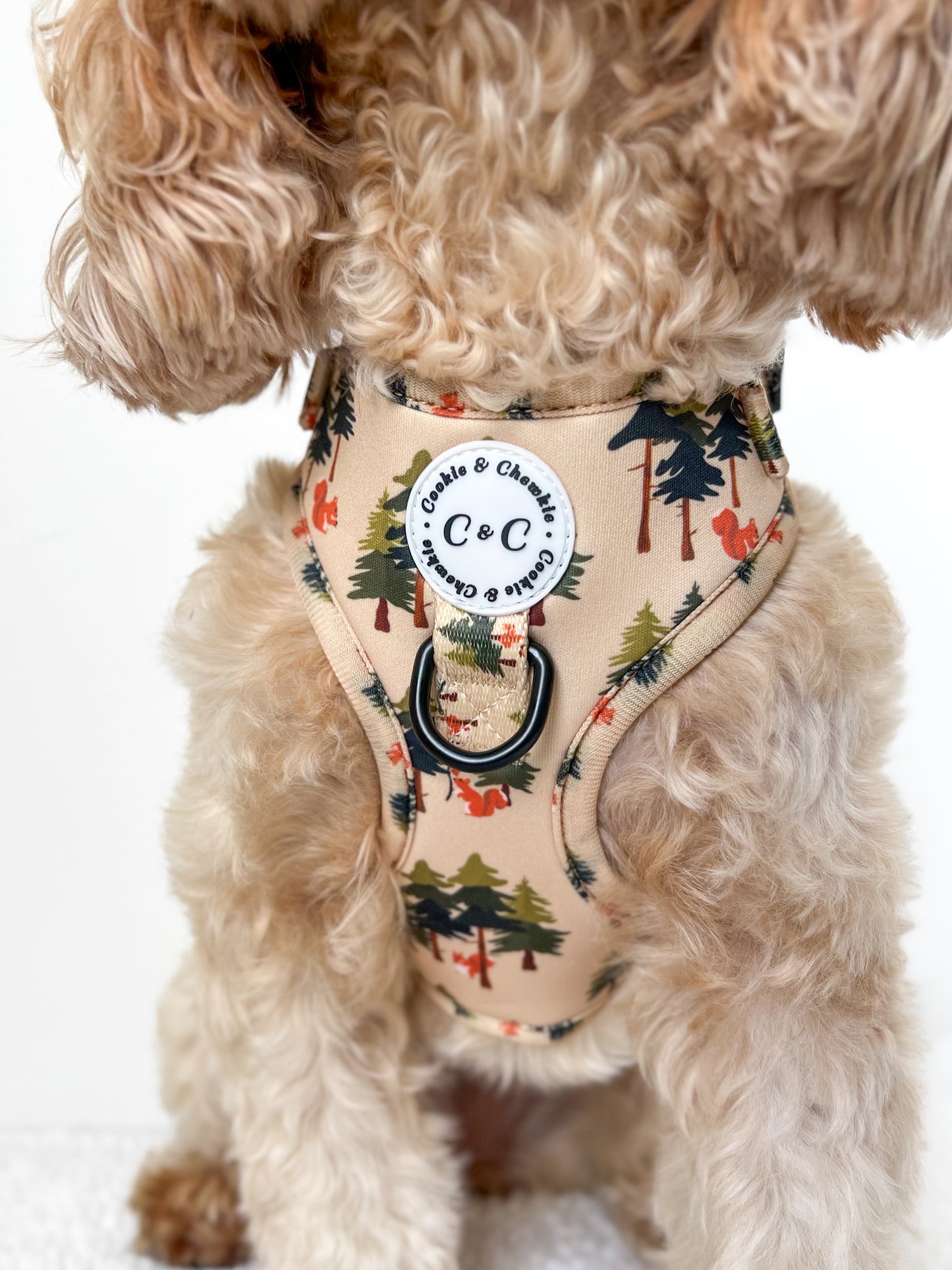 Adjustable Harness - 'Squirrel Pawtrol'