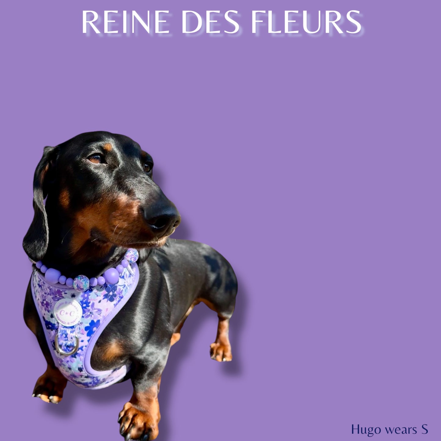 Adjustable Harness - 'Reine des Fleurs'