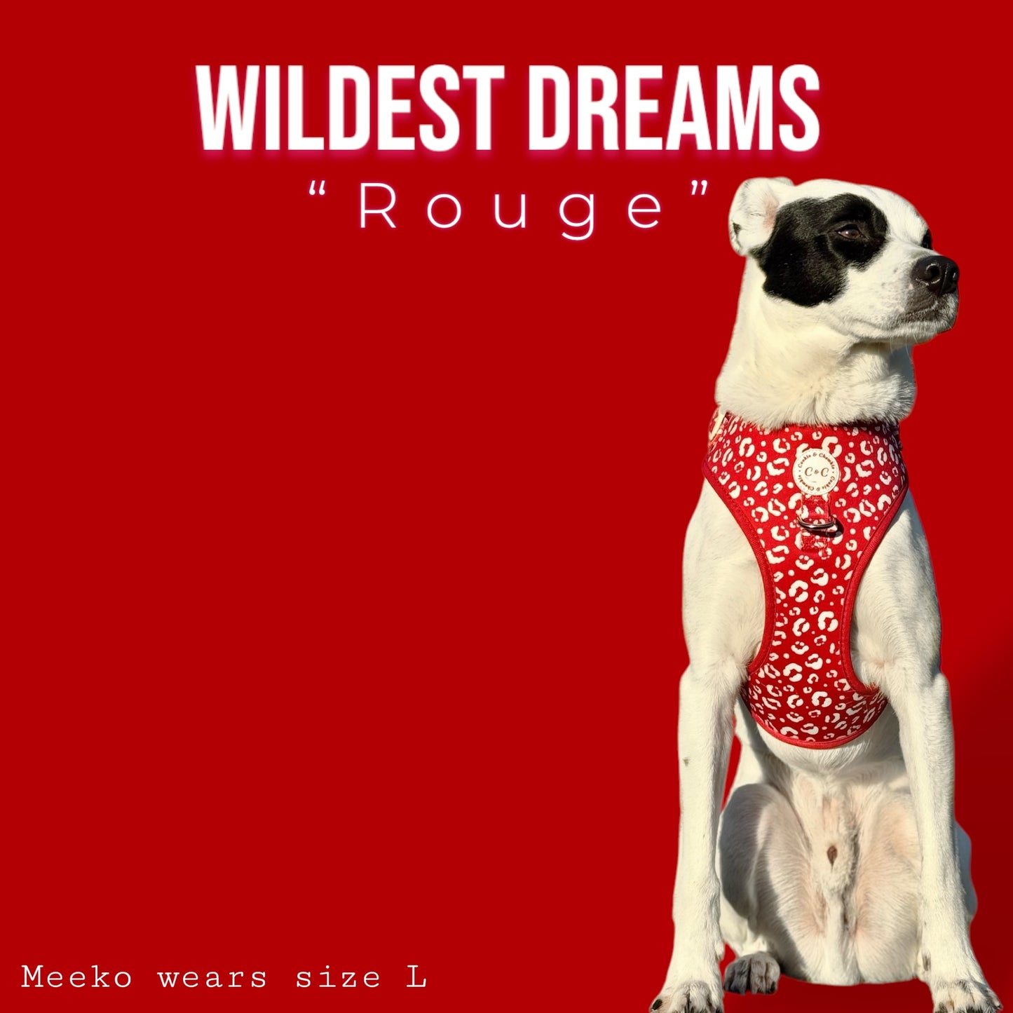 Adjustable Harness - 'Wildest Dreams - Rouge'