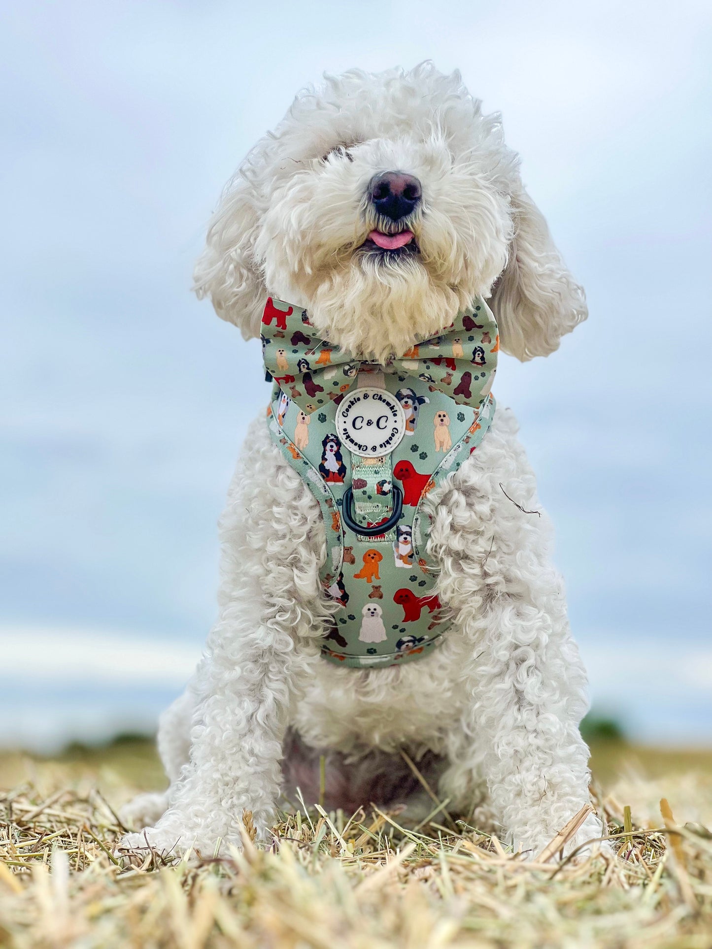 Bow Tie - 'Doodle Tales'